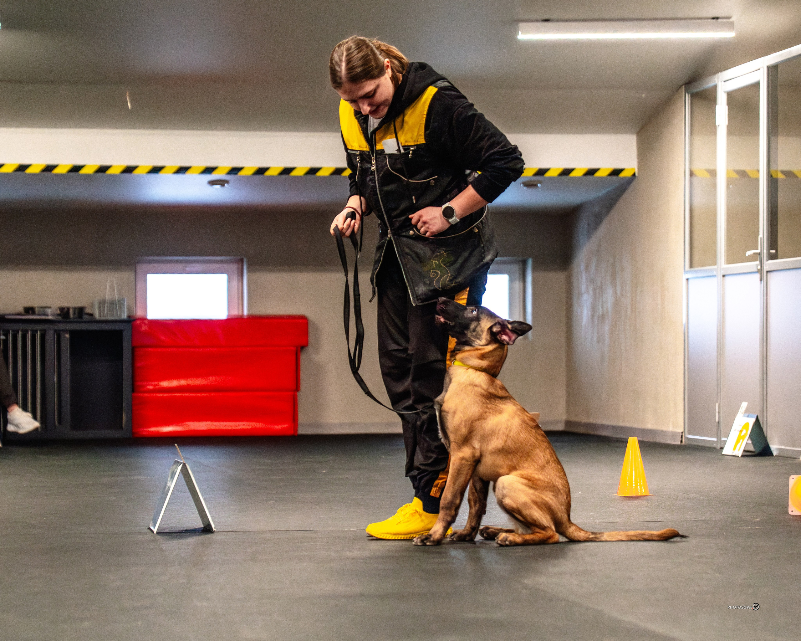 ТЫ И Я (соревнования по ралли-обидиенс). Фотограф-анималист, семейный фотограф в Москве и Подмосковье. Фотосъёмка кинологических дисциплин