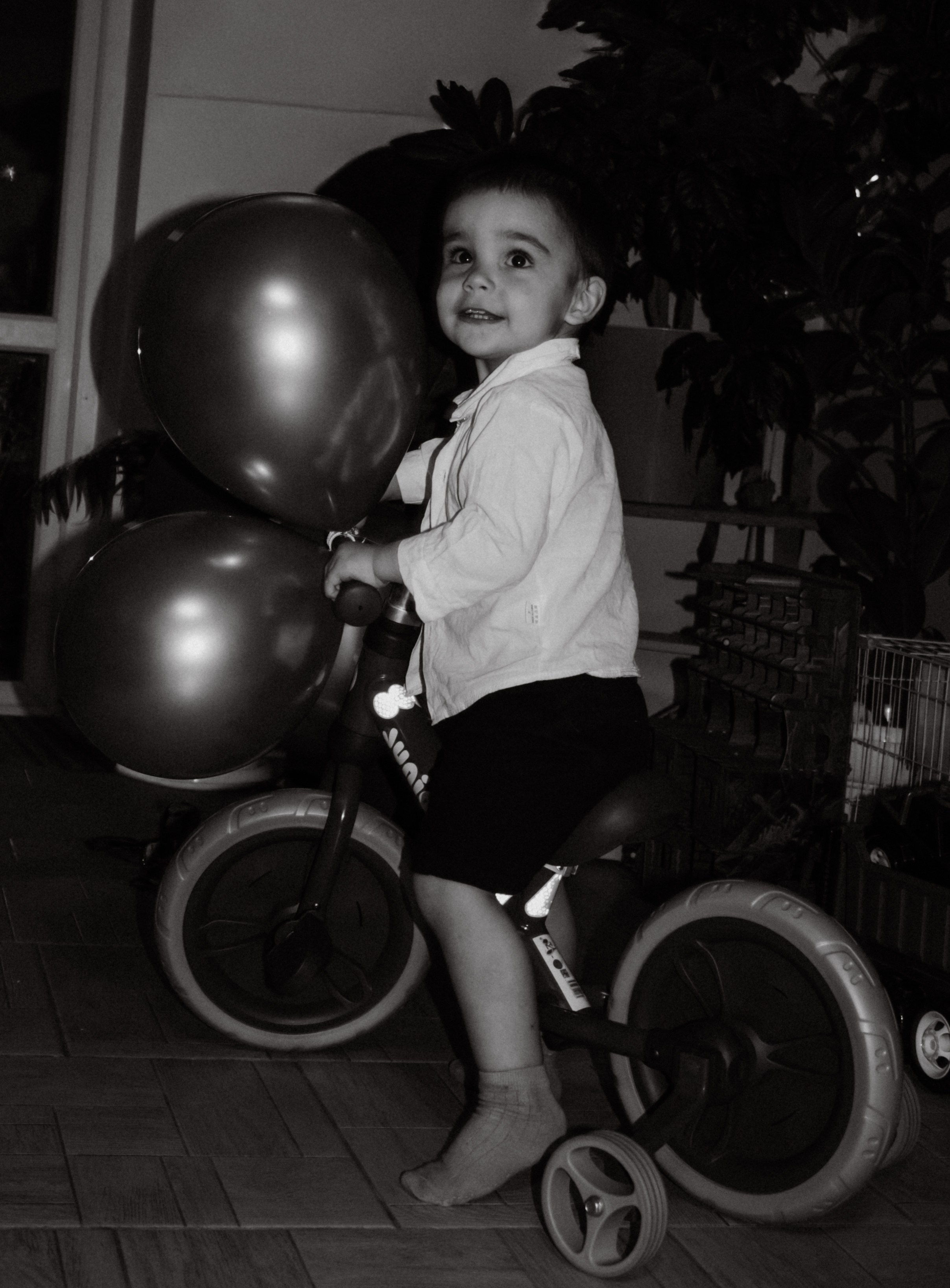 Ренат и его праздник. Inga Simonova | Семейный и детский фотограф