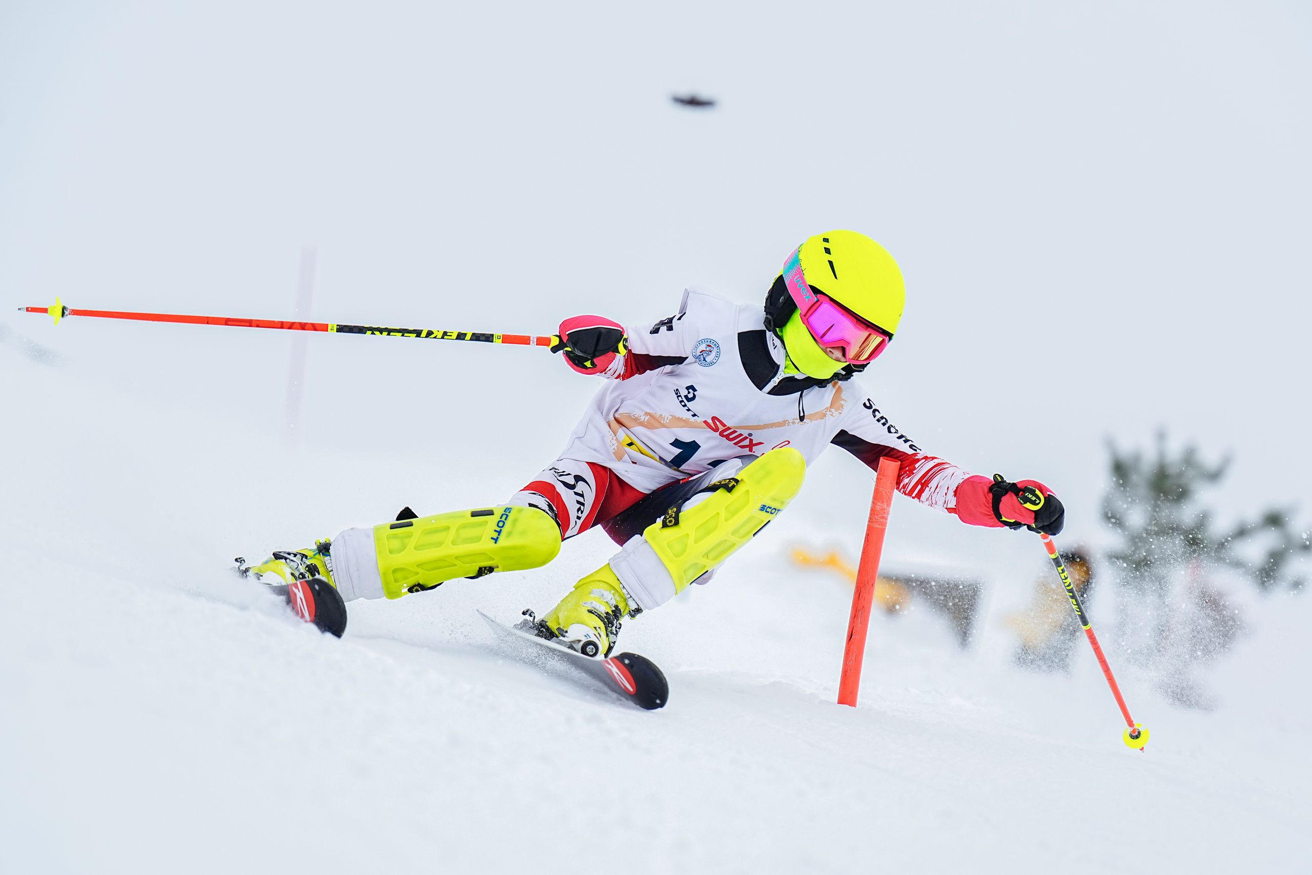 2026.02.26 | Региональные соревнования «На приз Клуба Л. Тягачева» SL. Фотограф Студитский Евгений