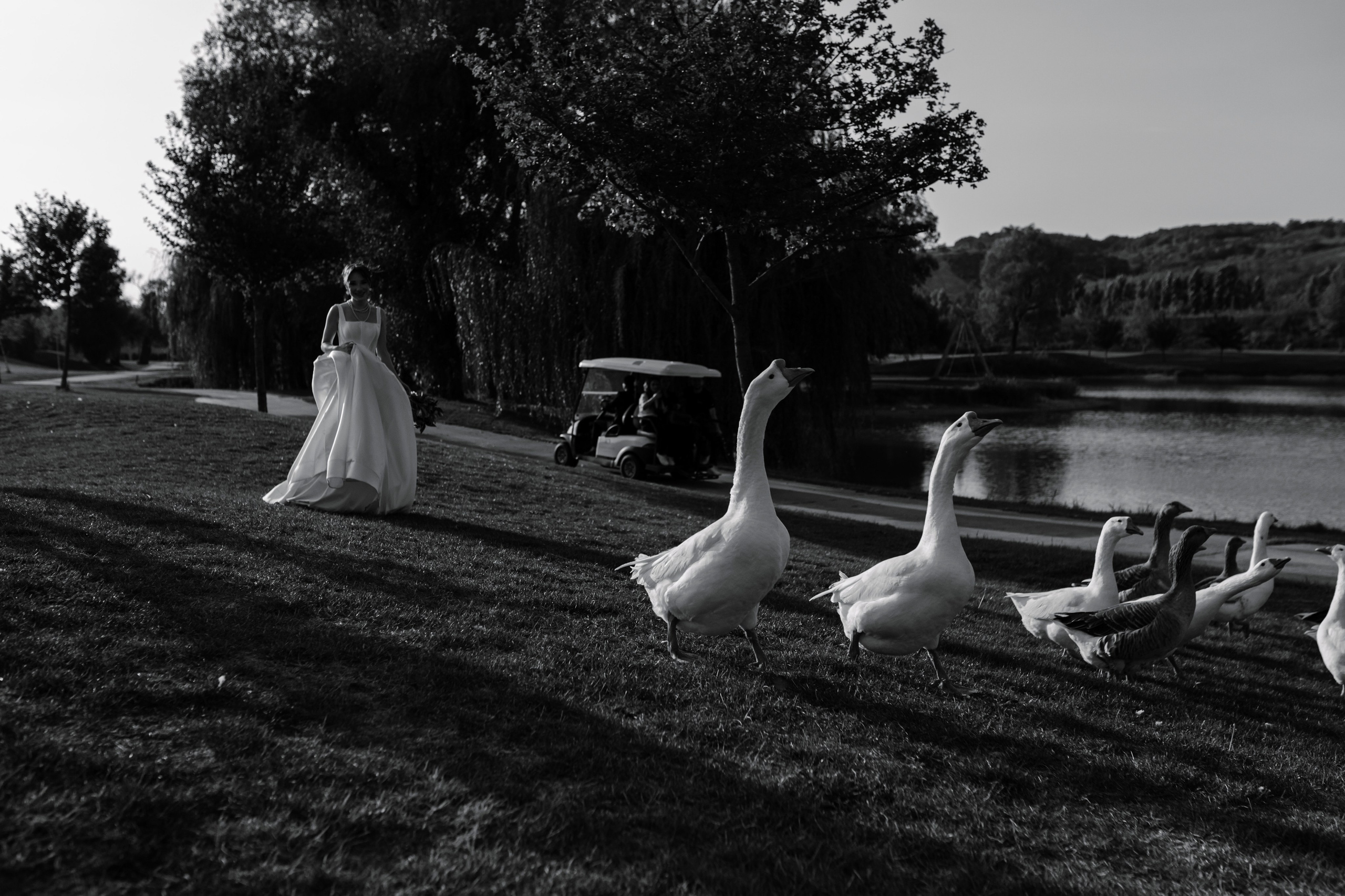 Свадьба Виктории и Александра. Фотограф Трифон Мира