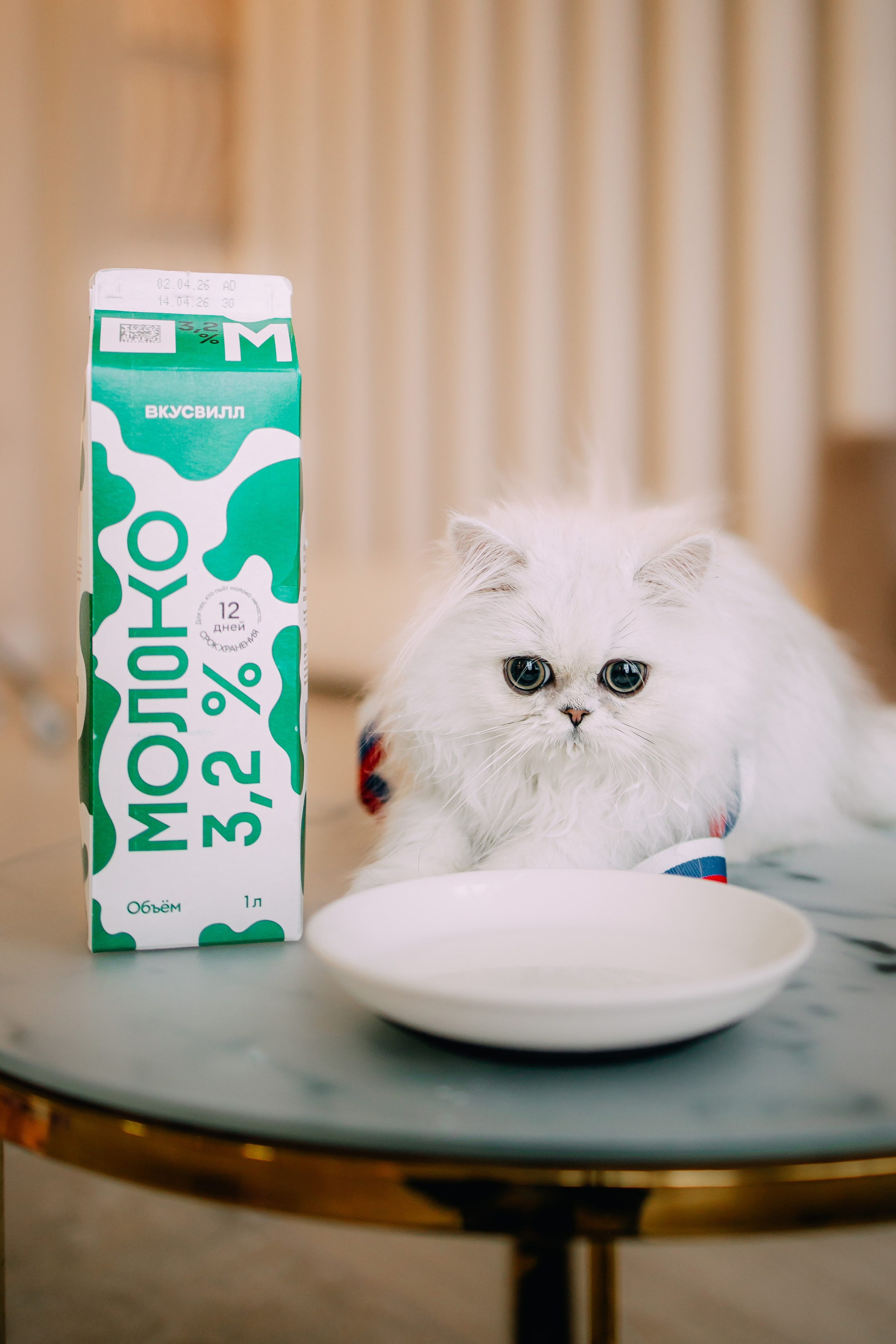 Султан, Мэй Мэй и Шанталь и их семья