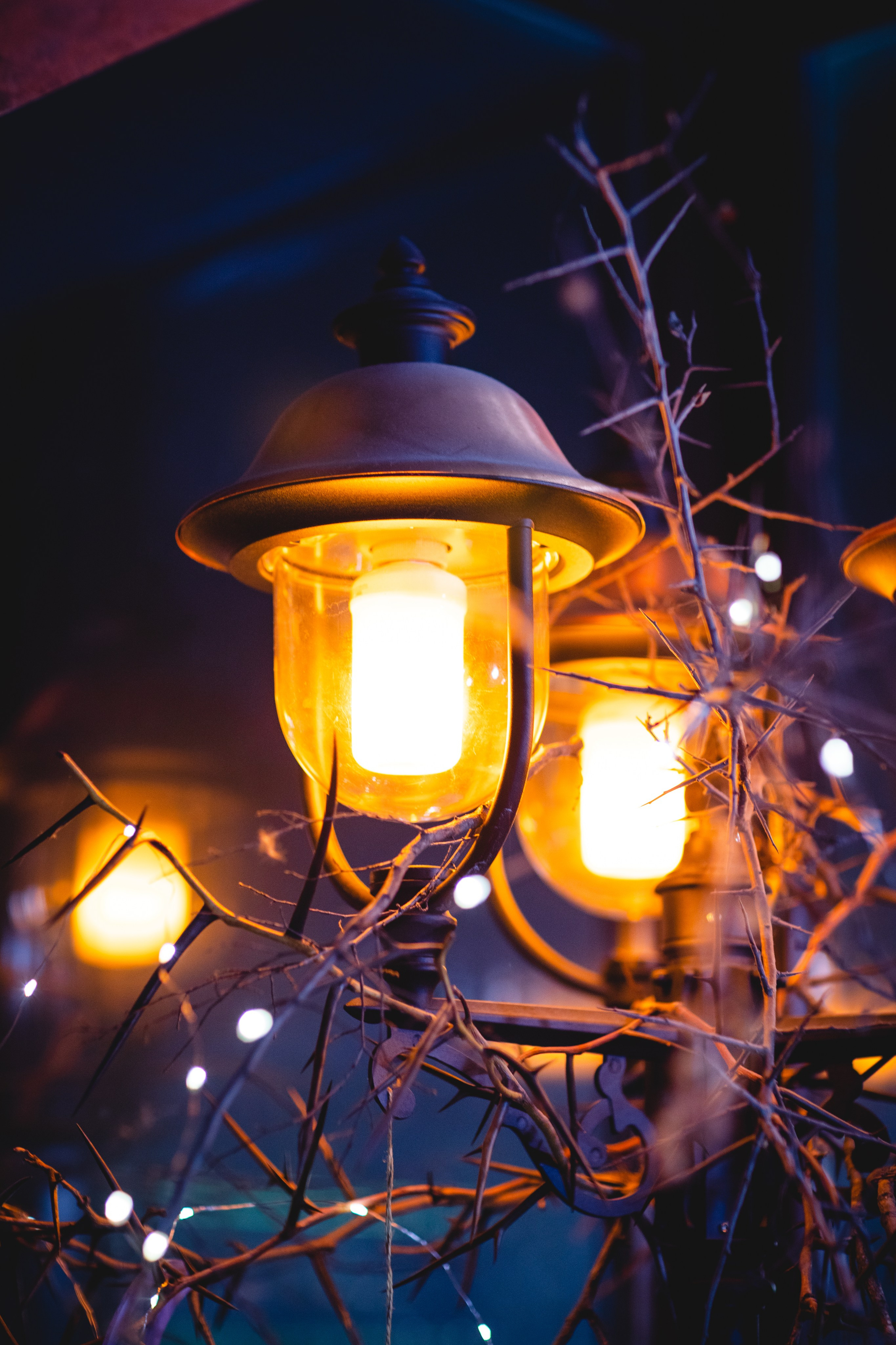 МАРТ-лавка красивых вещей). Семейный фотограф в Москве Анастасия Гурьянова