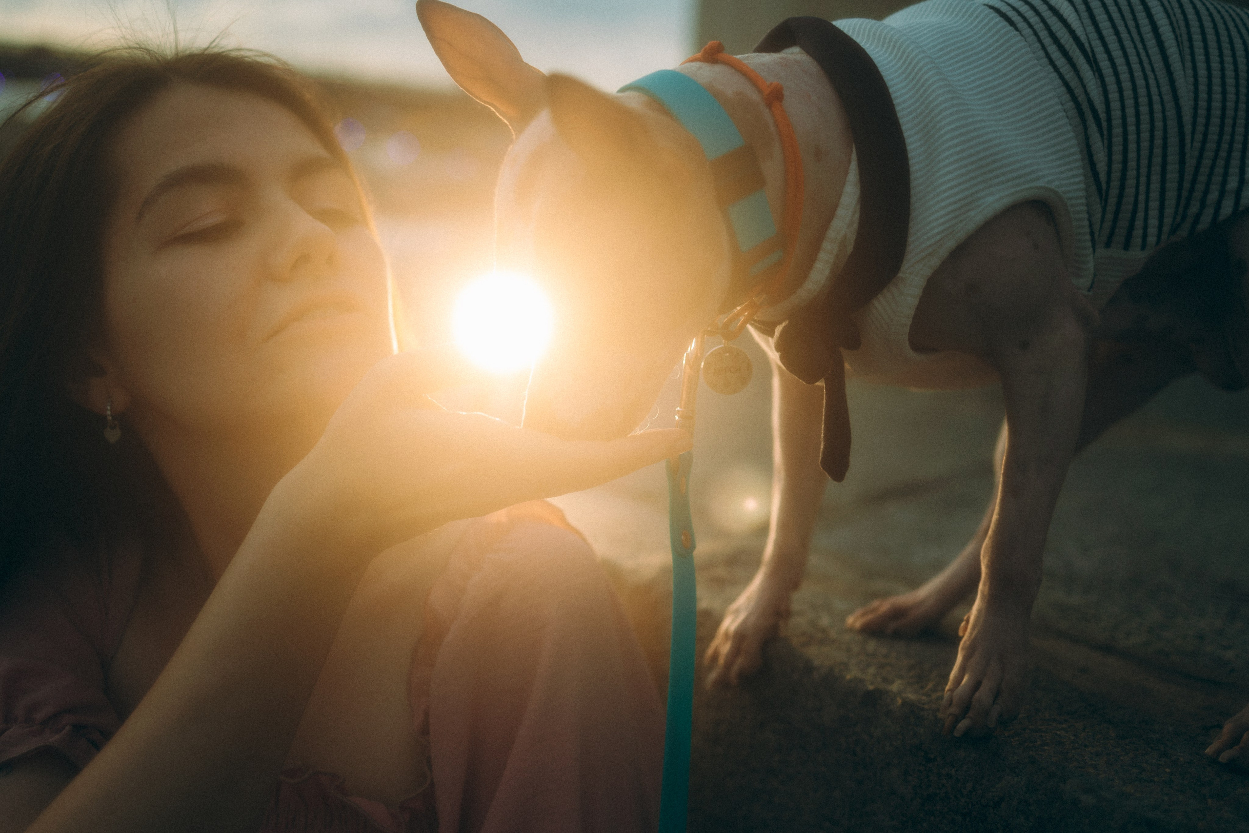 Глаша, Айрон, Ксюша и Оля. Фотограф анималист Анастасия Пикей