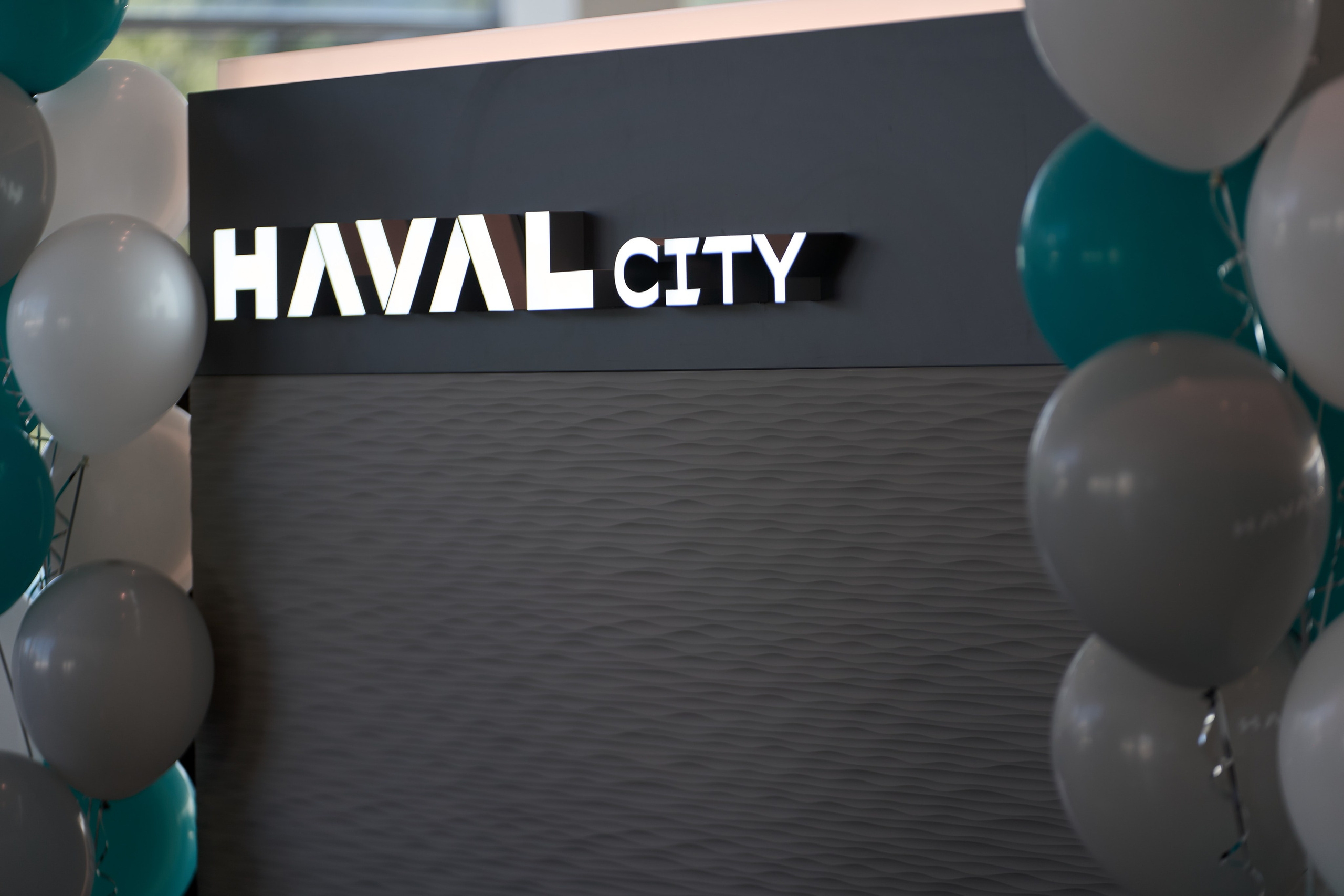 Презентация HAVAL. Фото, которые продают эмоции. Сергей Богомолов. Свадебный и семейный фотограф