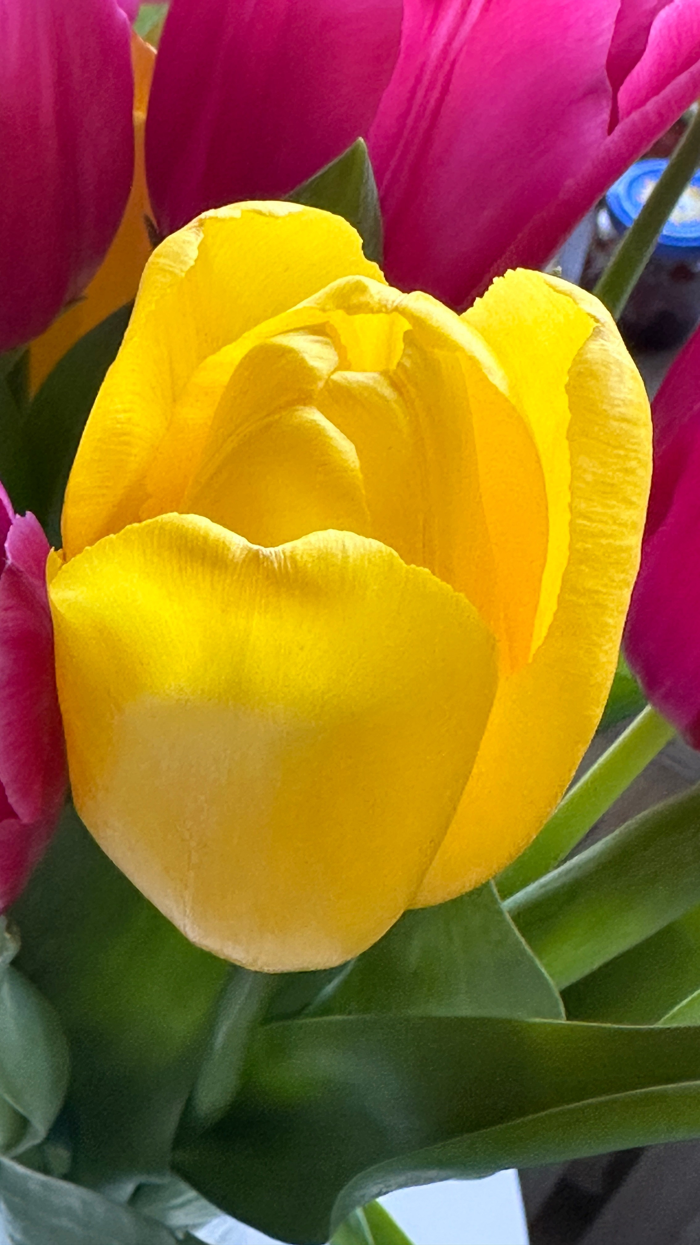 Макро любовь. Смотри, красота!