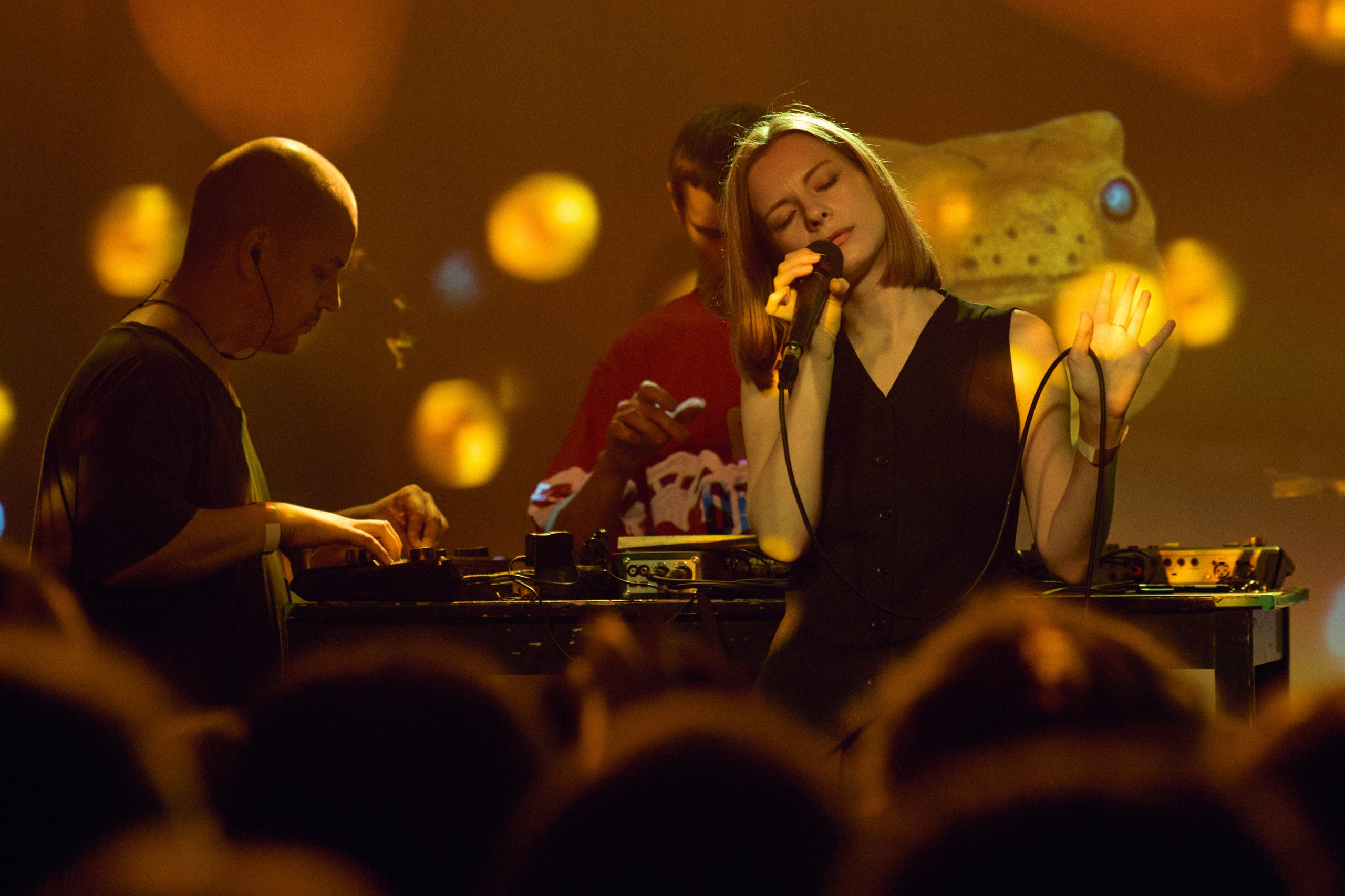 Порез на собаке. Фотограф Юлия Маринина