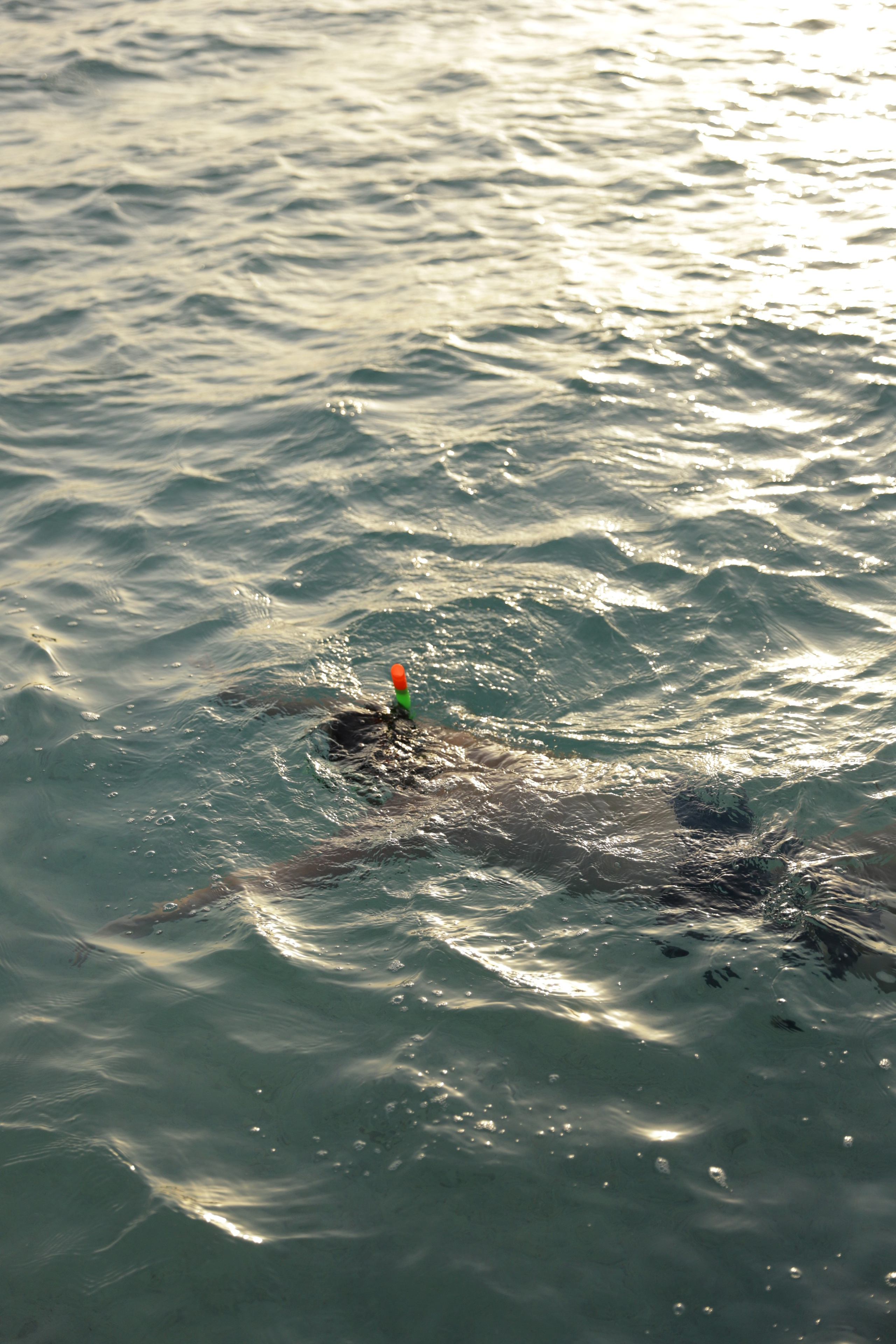 Шарм-Эль-Шейх. Светлана Иванова - профессиональный фотограф