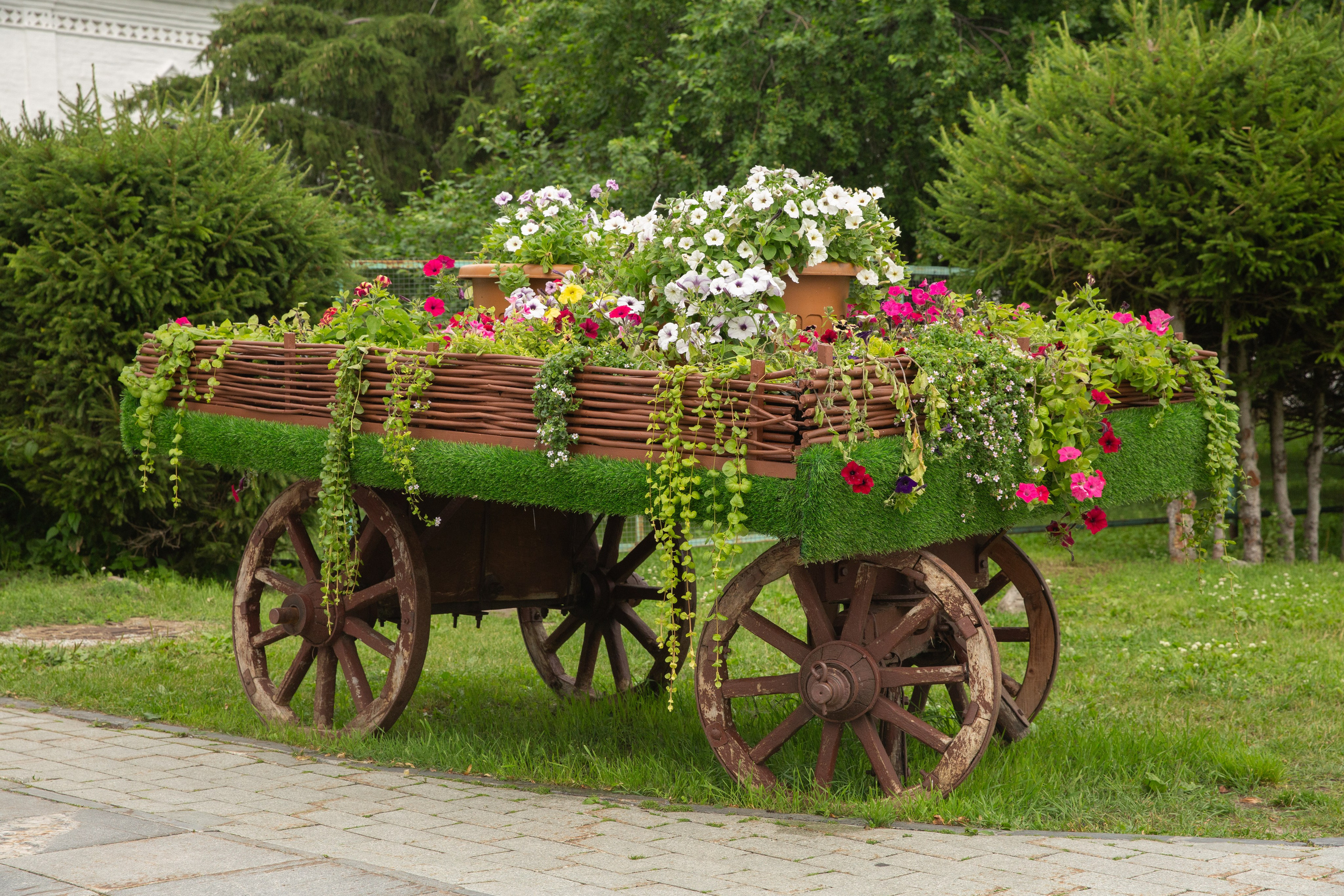 Ветераны спорта Тюменской области. Мой фотомир