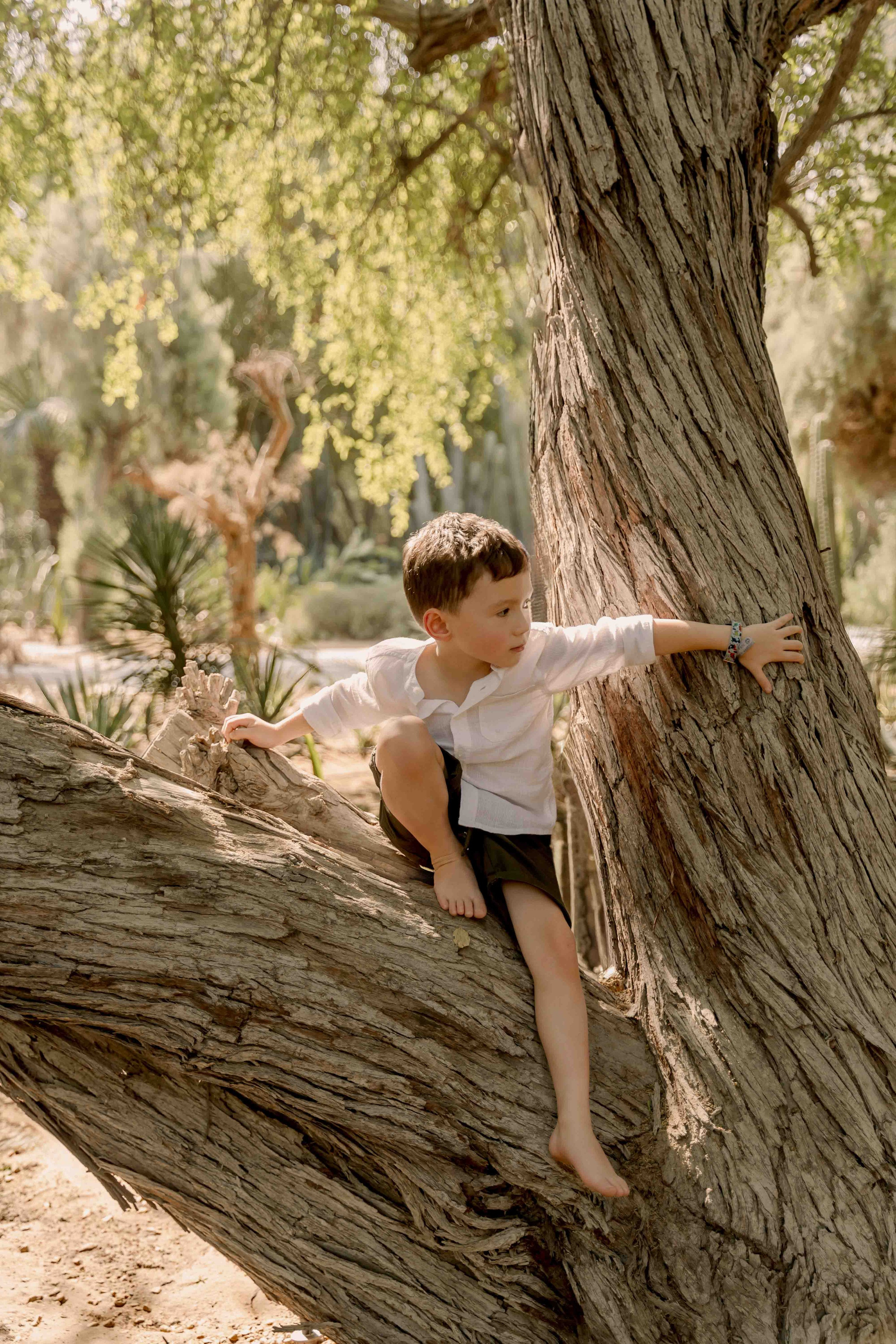 Семейная фотосессия в парке в коричневых тонах. Фотограф и видеограф в Москве и Абу Даби Мария Кулагина