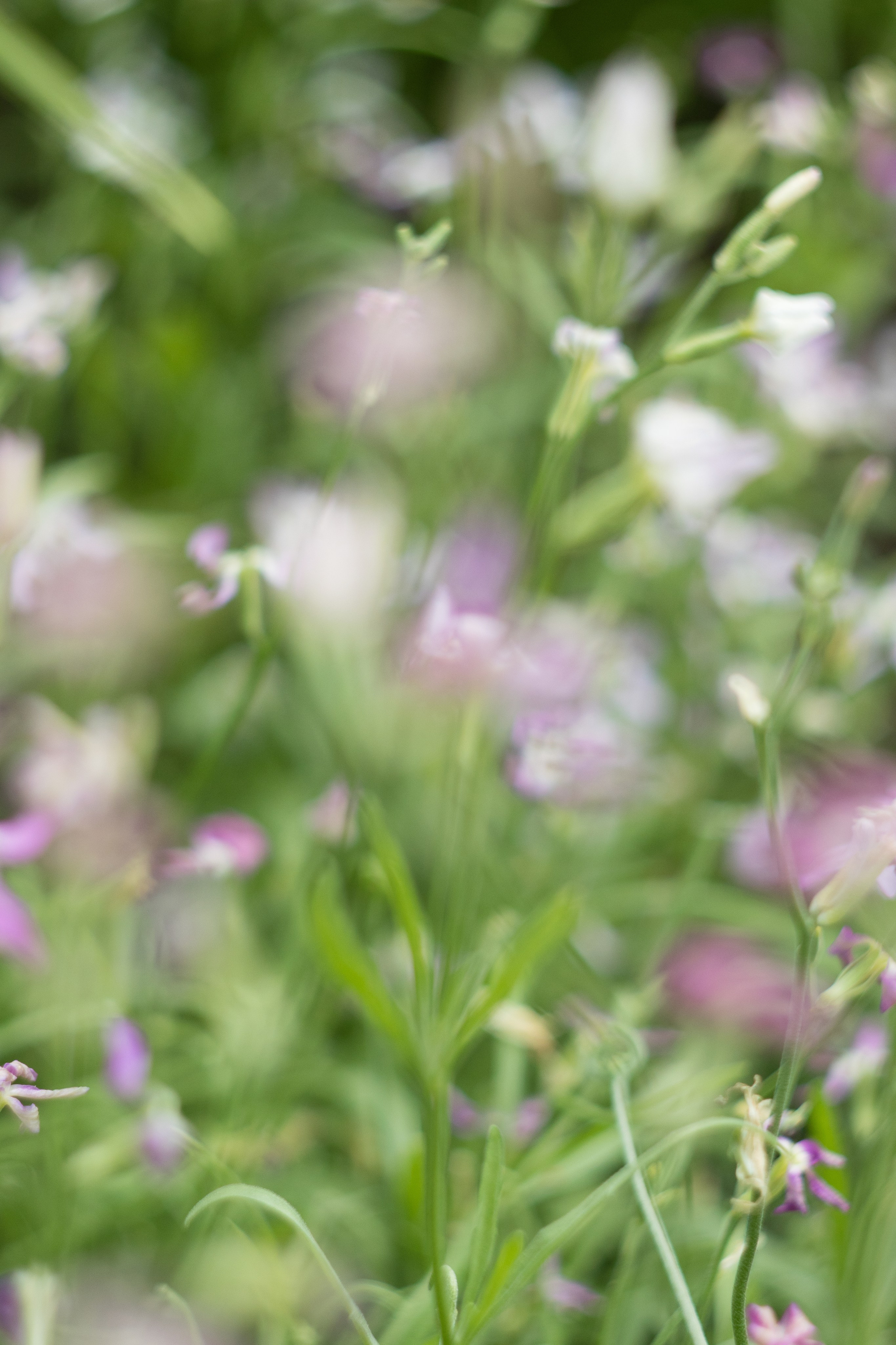 Моменты. Главная