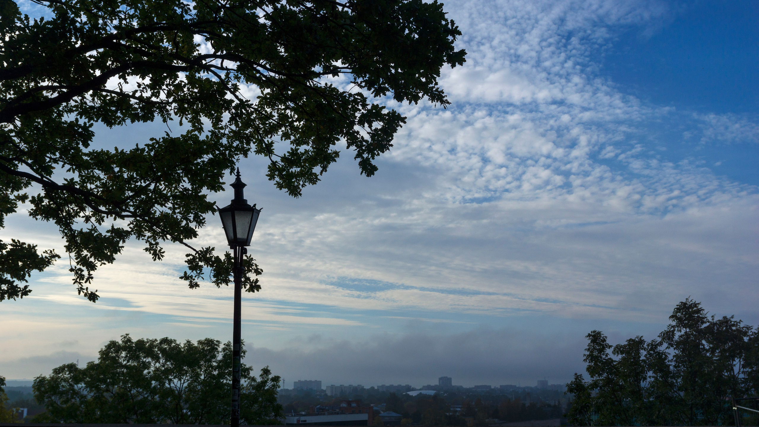 Таллин. Фотограф-путешественник Самойлов Максим «Sly Fox»