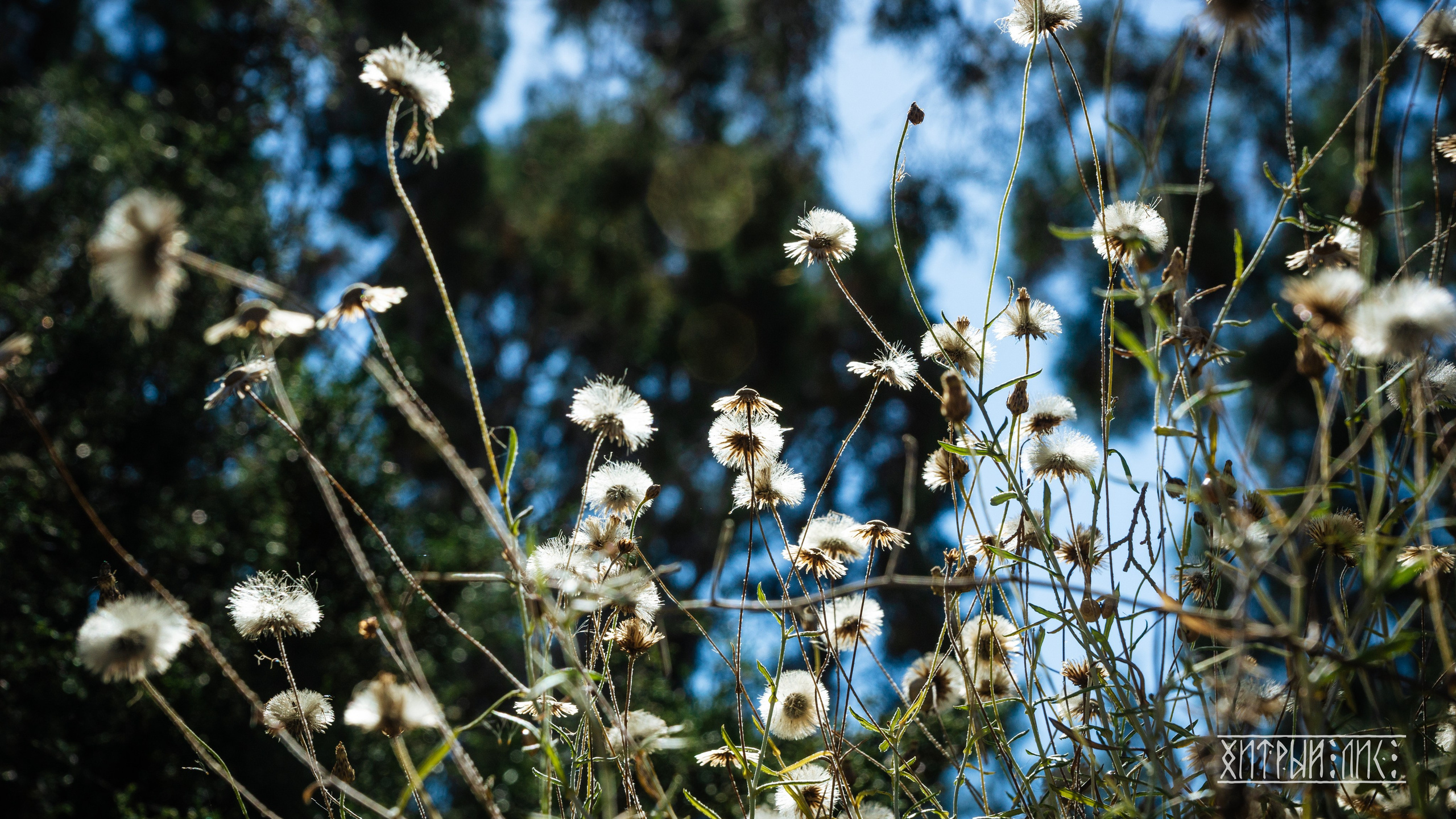 Кипр. Фотограф-путешественник Самойлов Максим «Sly Fox»