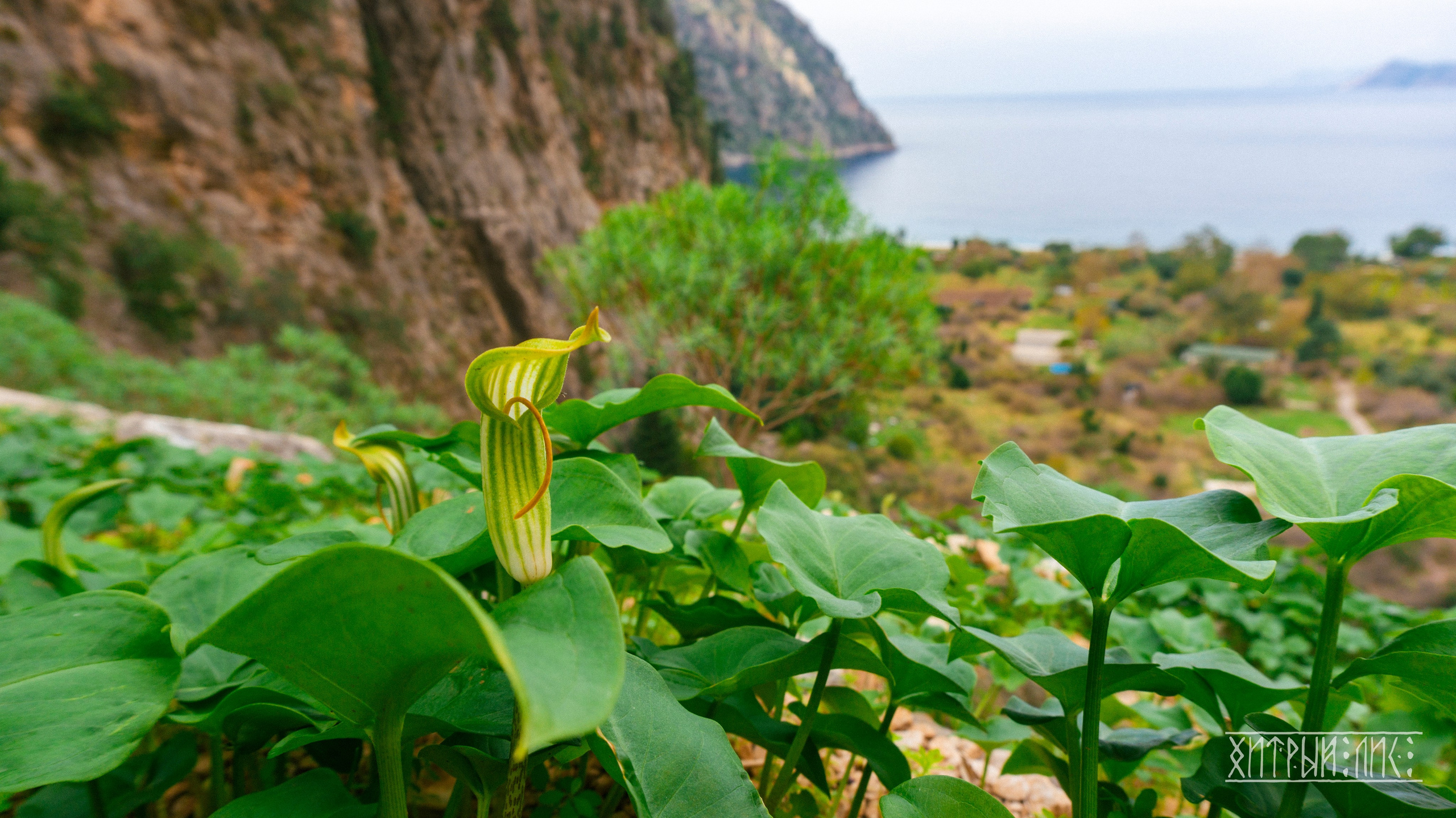 Турция. Ликийский путь. Фотограф-путешественник Самойлов Максим «Sly Fox»