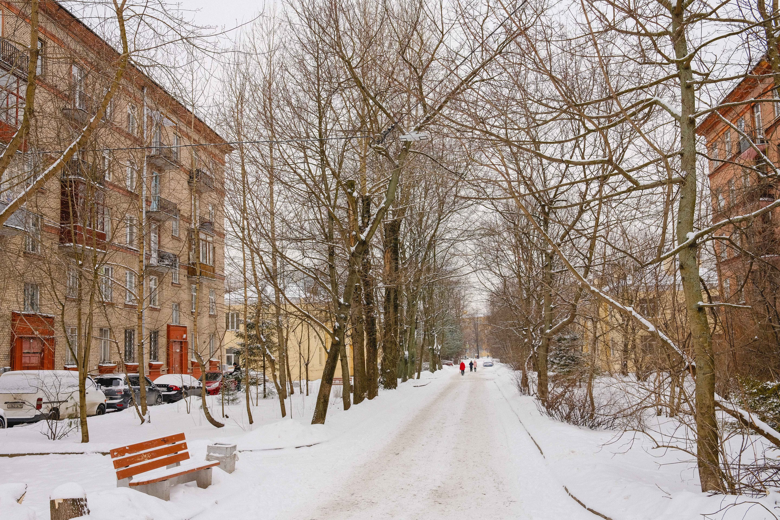 2023.02. Фотограф Алексей Алексеев