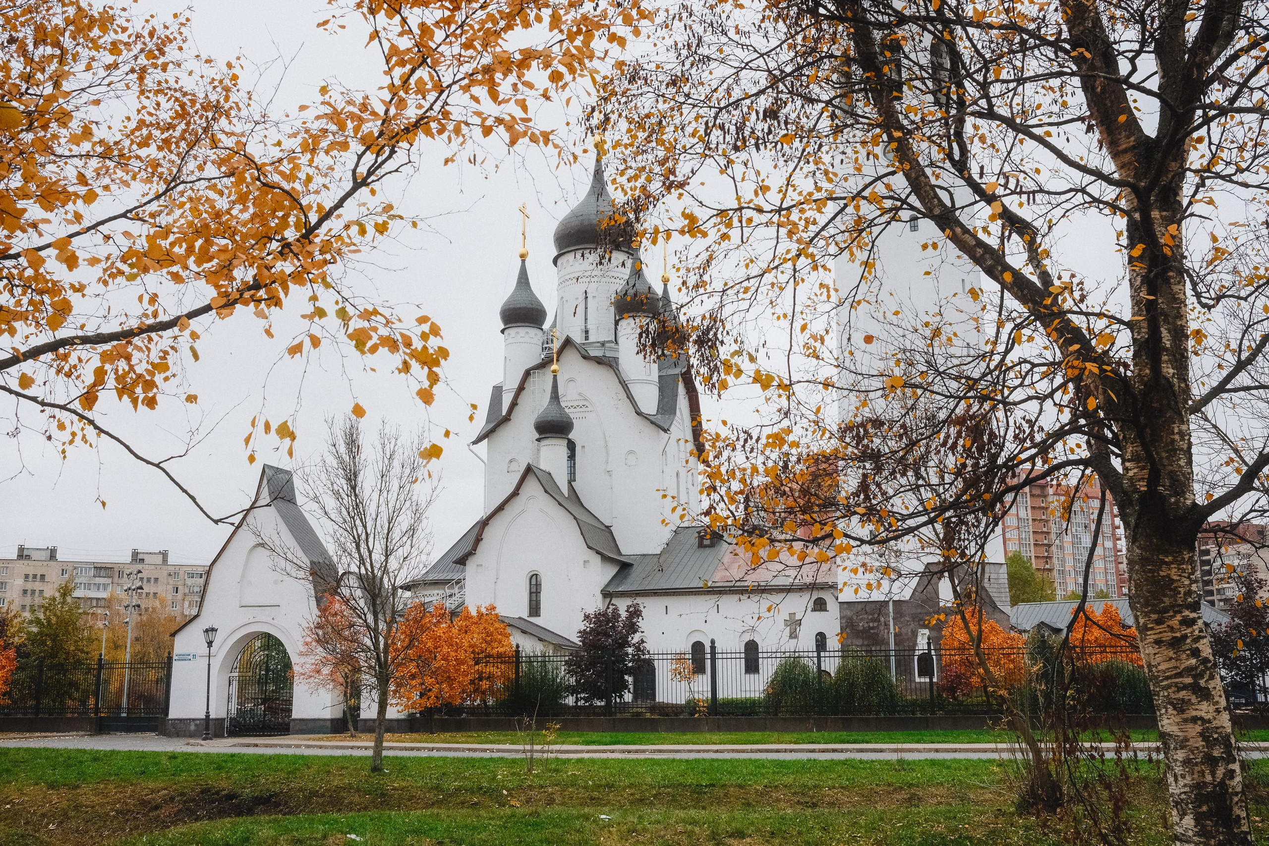2022.10. Фотограф Алексей Алексеев