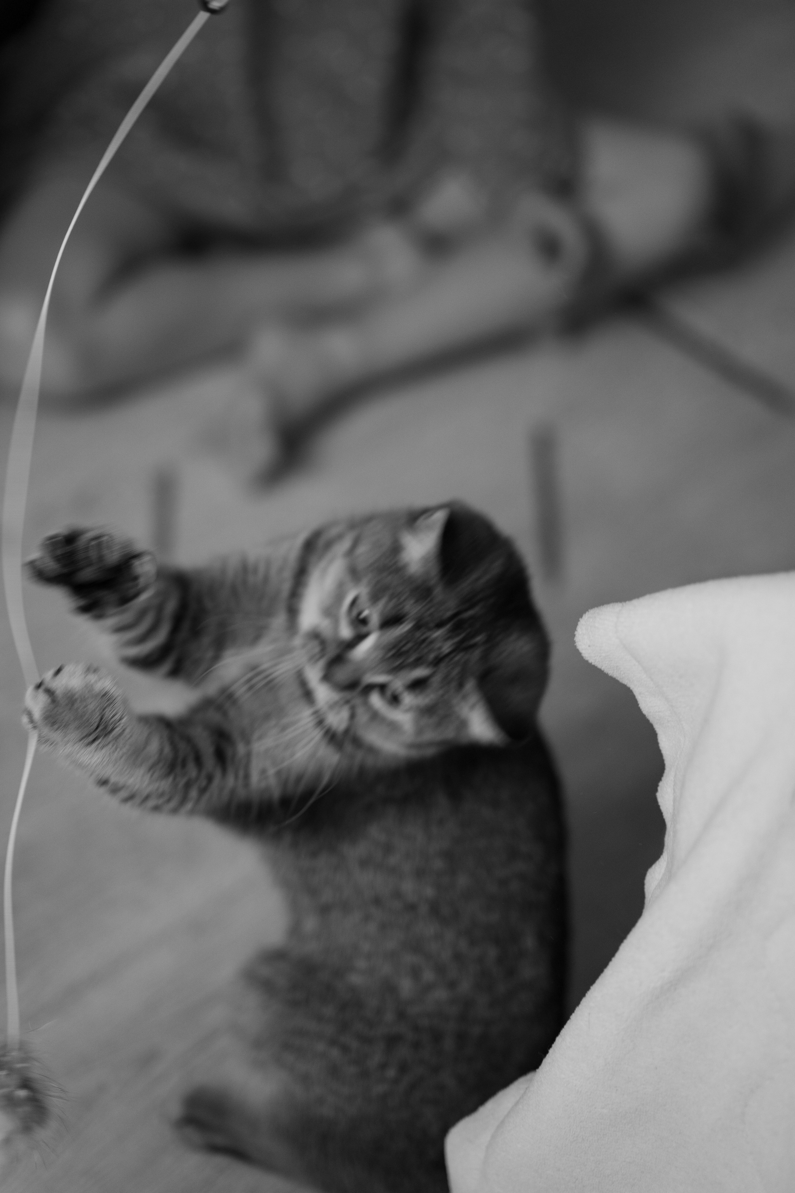 Семейная съемка для Галины. Фотограф Катя Стрельцова