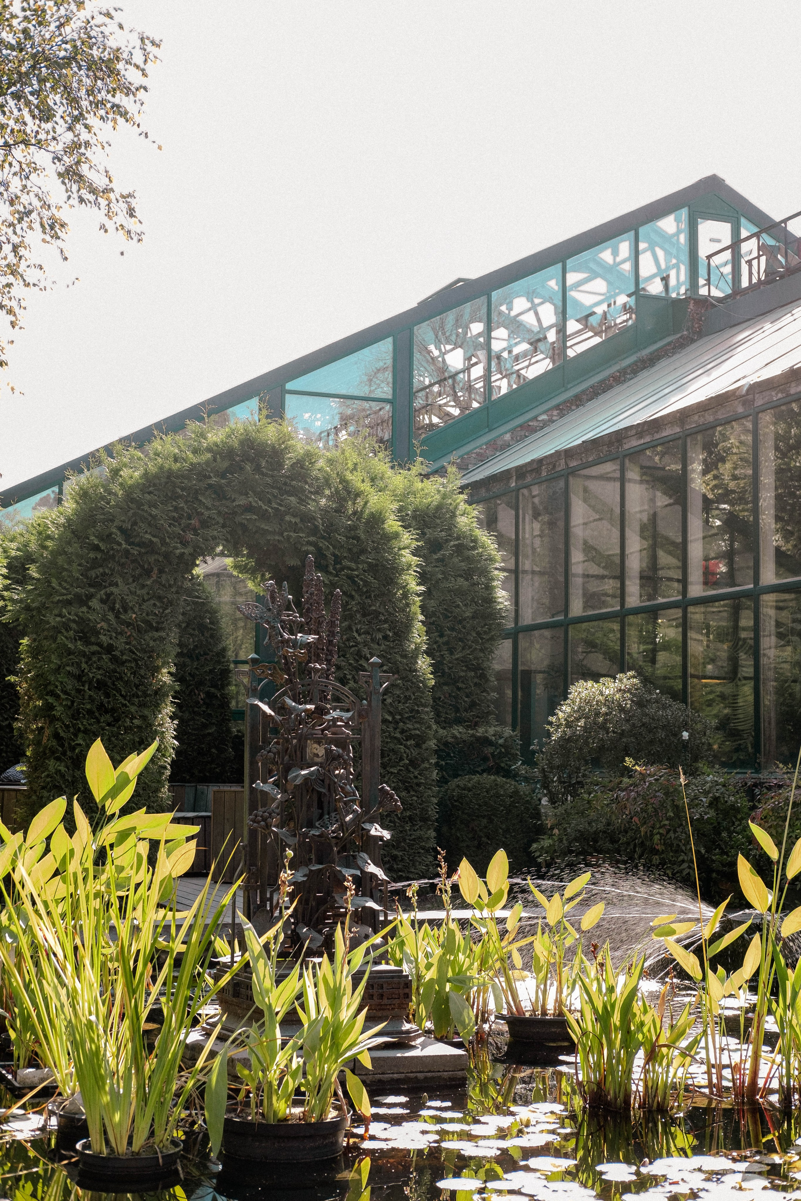 Москва 2024. Свадебный и семейный фотограф в Новосибирске, Санкт-Петербурге, Москве