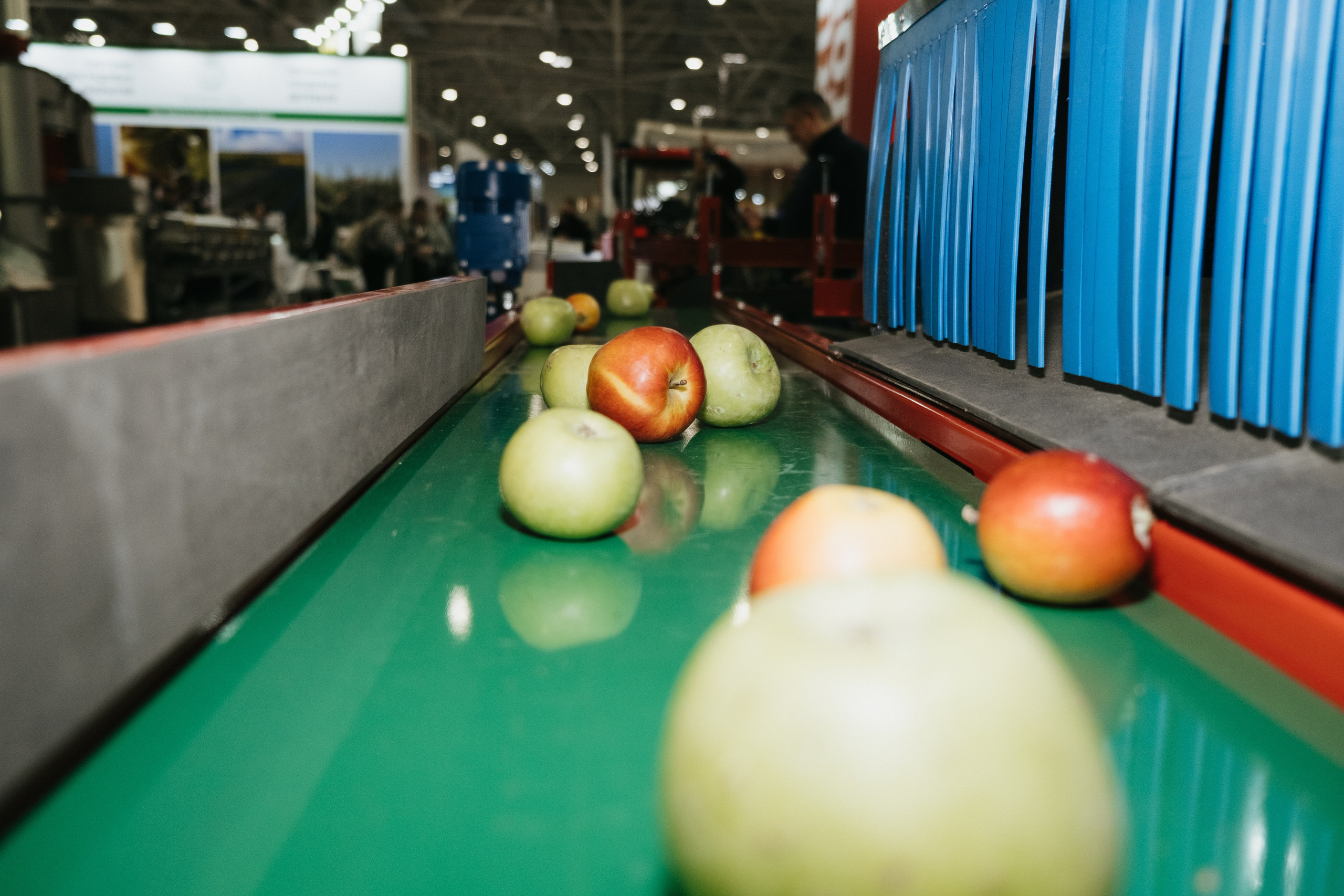 Выставка Fruit Trade: Сады и&nbsp;Виноградники в&nbsp;Краснодаре 18–19&nbsp;февраля 2025 года на&nbsp;площадке Экспоград-Юг