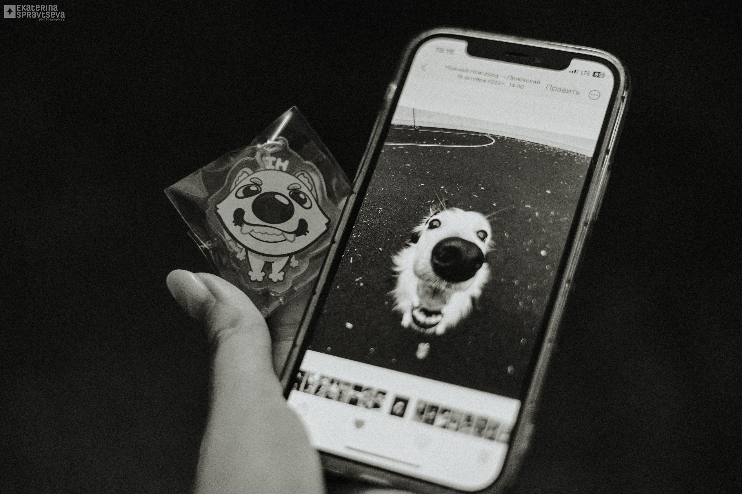 Арт-маркет «Волчок». Фотограф Анималист Екатерина Справцева в Нижнем Новгороде