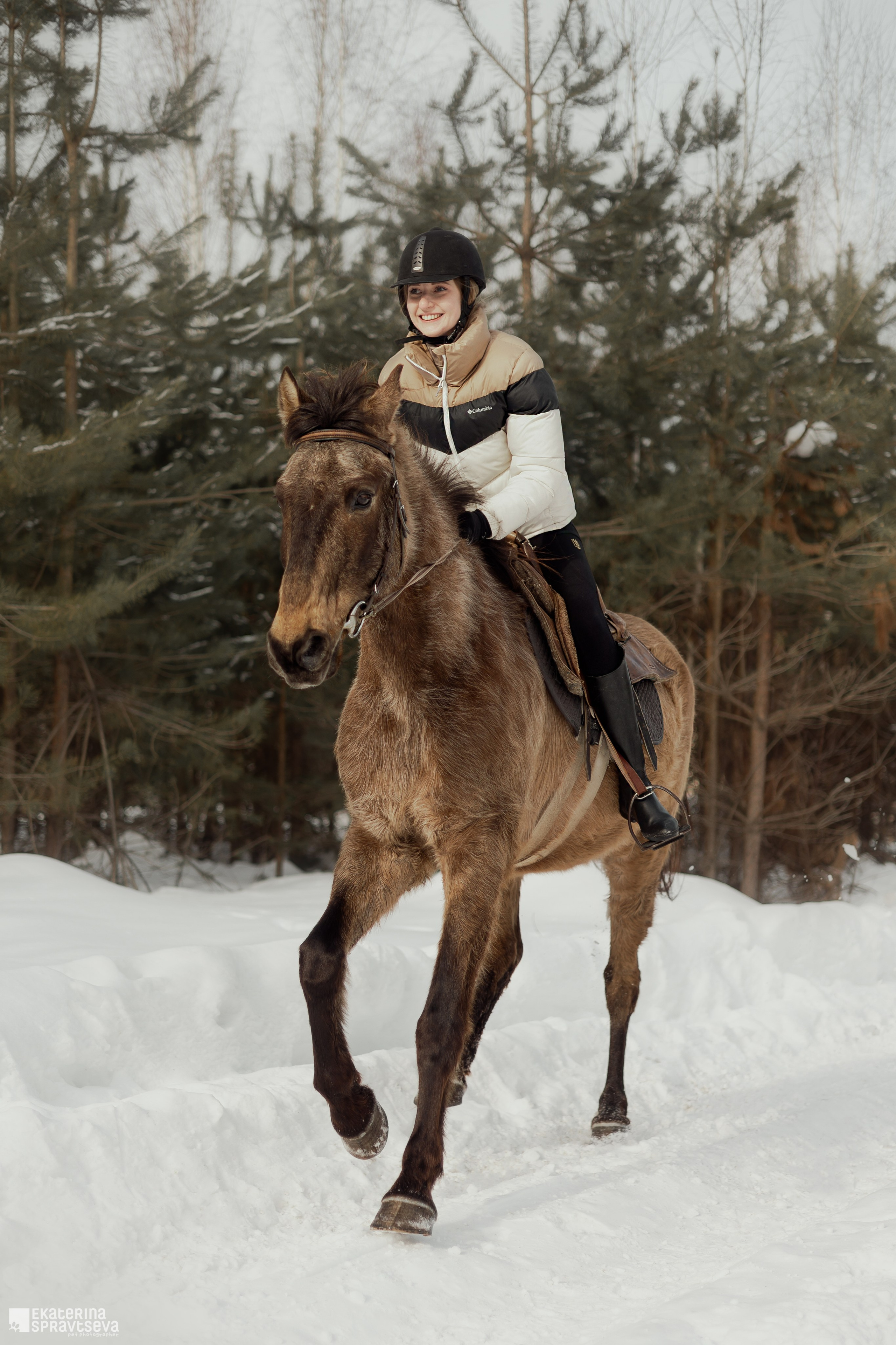 Среди грив и копыт. Фотограф Анималист Екатерина Справцева в Нижнем Новгороде