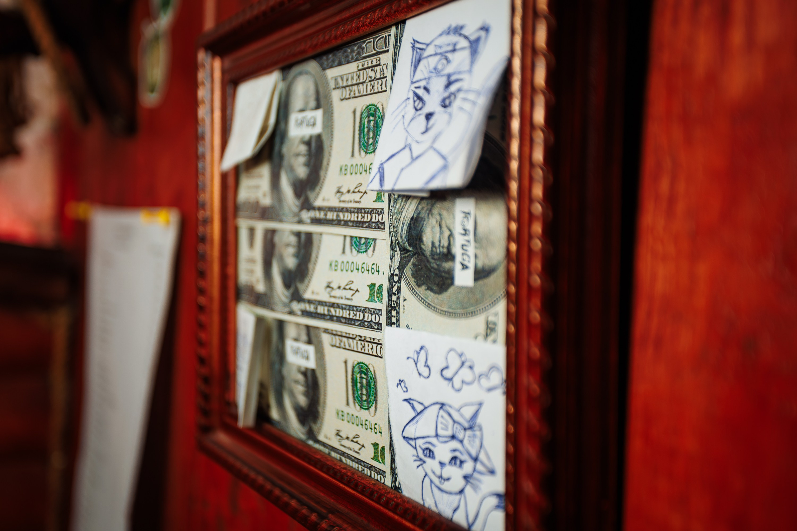 Birthday party MC Archi_Tortyga_Симферополь_8.02.2025. Аминов Руслан | Фотограф