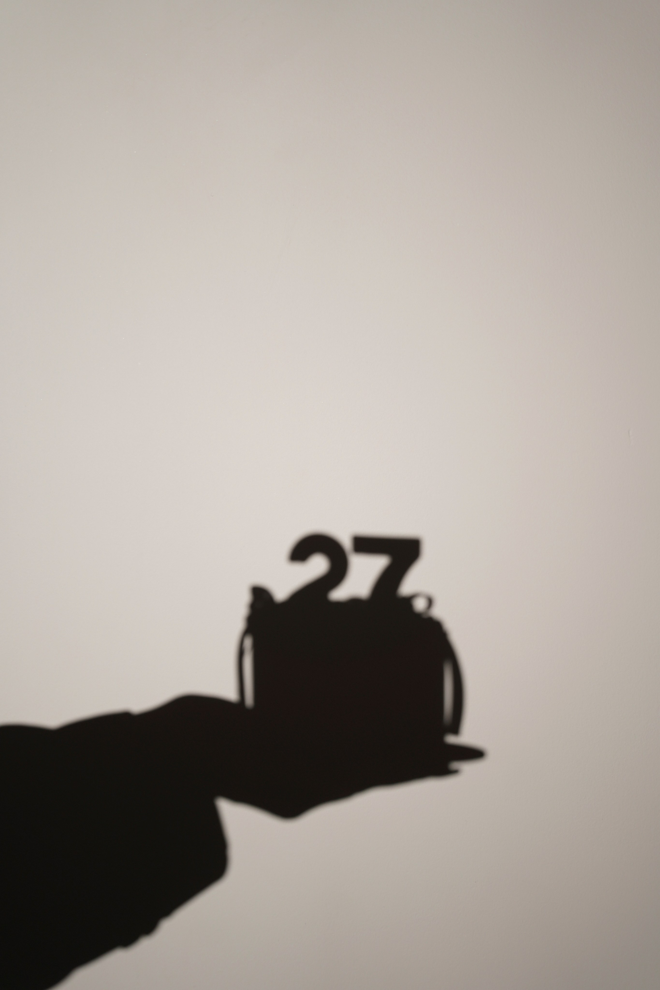 Анастасия. Ваш фотограф Анастасия Болотникова