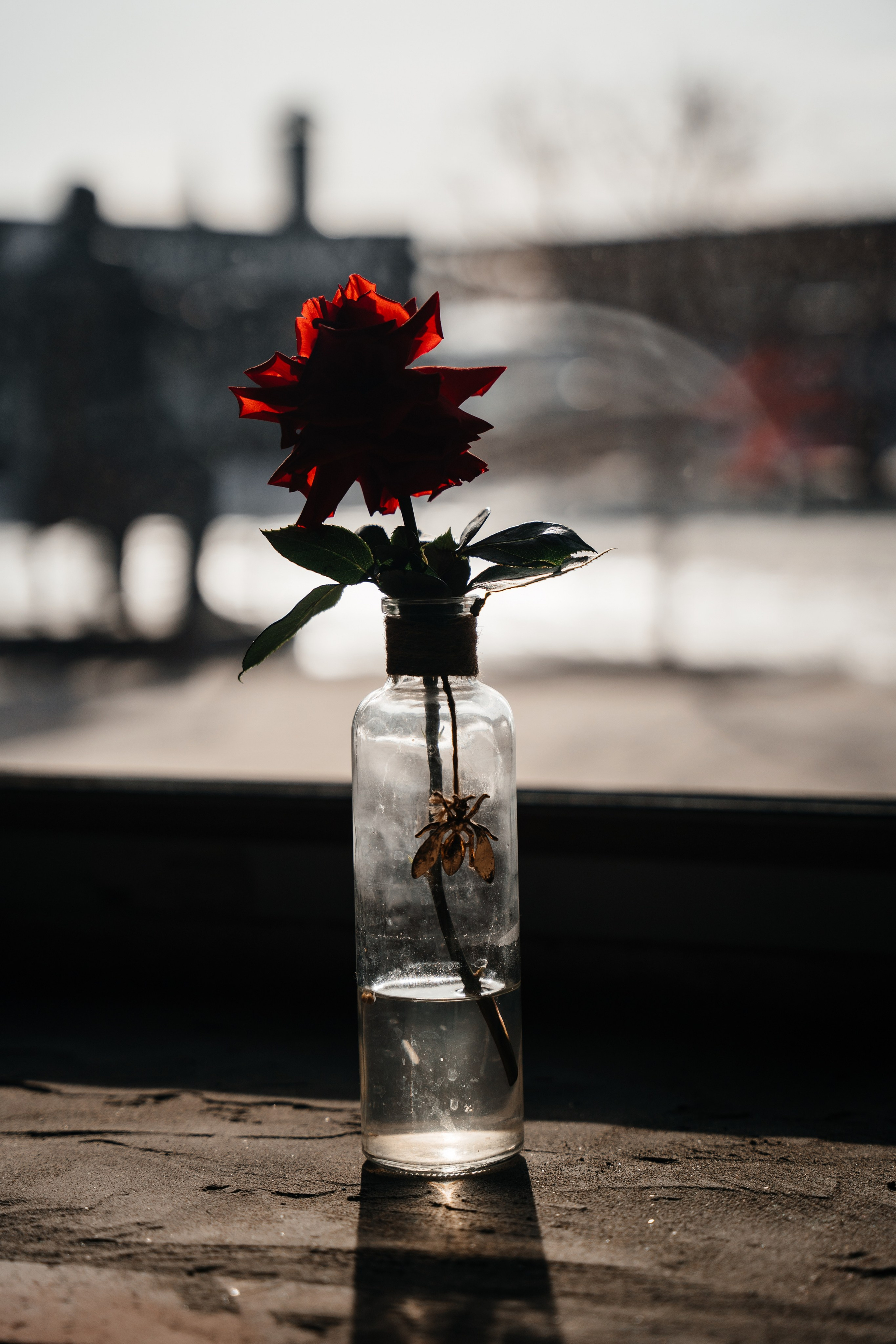 ПРОЕКТ ТЕОРИЯ. Свадебный фотограф Барнаул Алексей Павлов