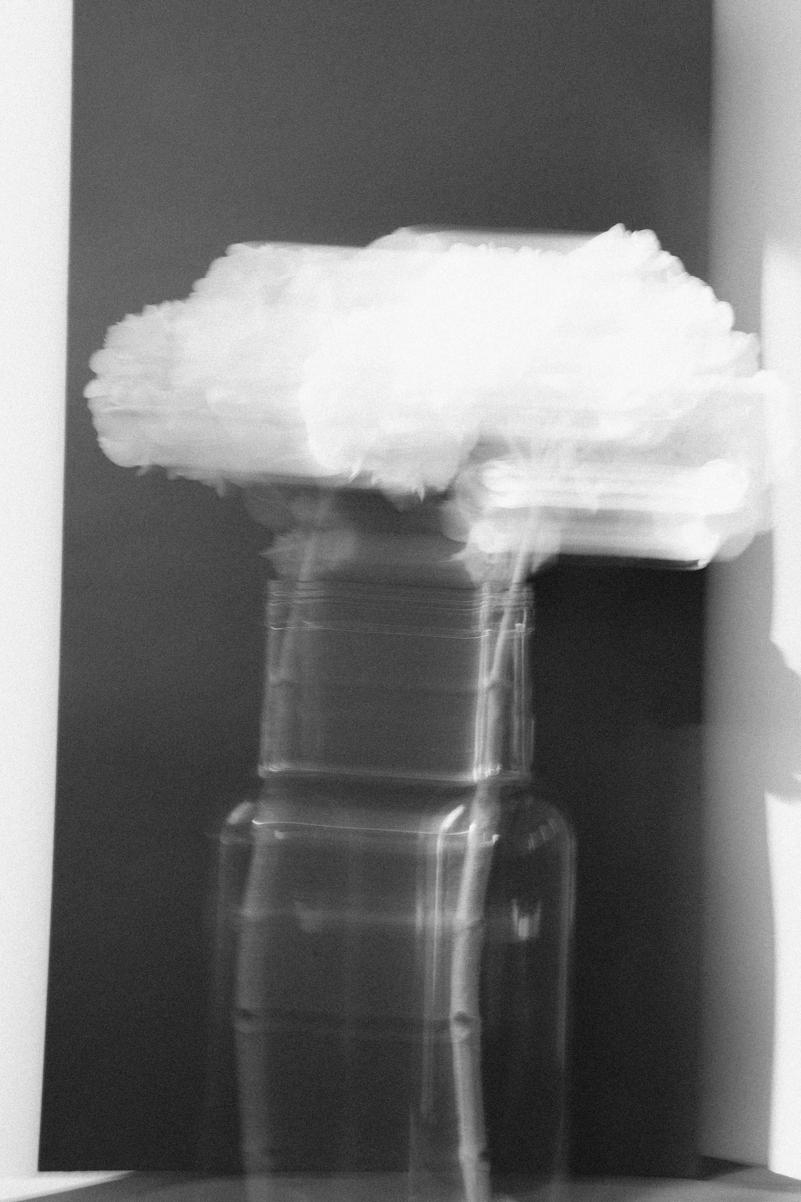 Катя Данкер