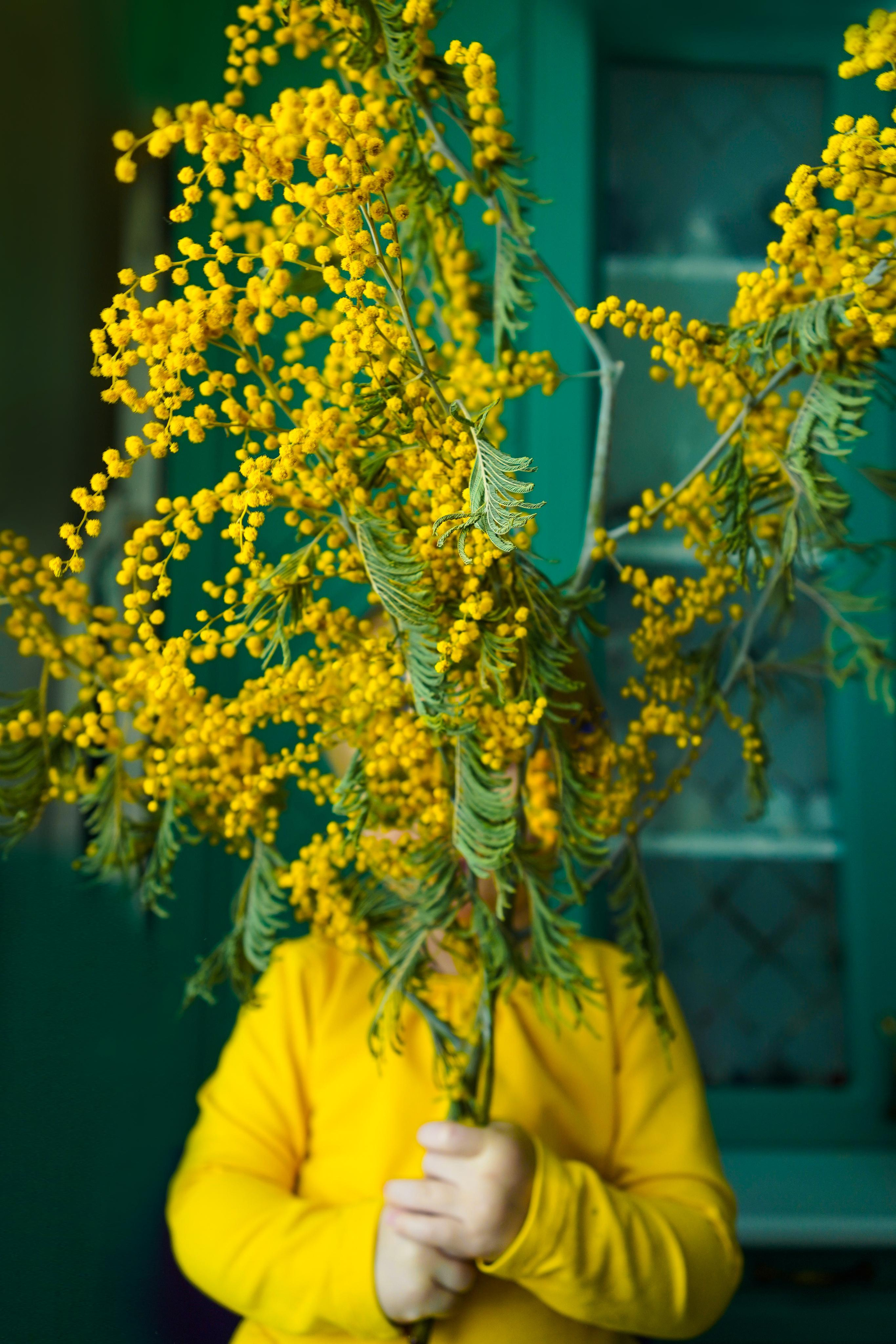 В фотостудии, дома. Семейный и портретный фотограф в Екатеринбурге Анна Лобанова