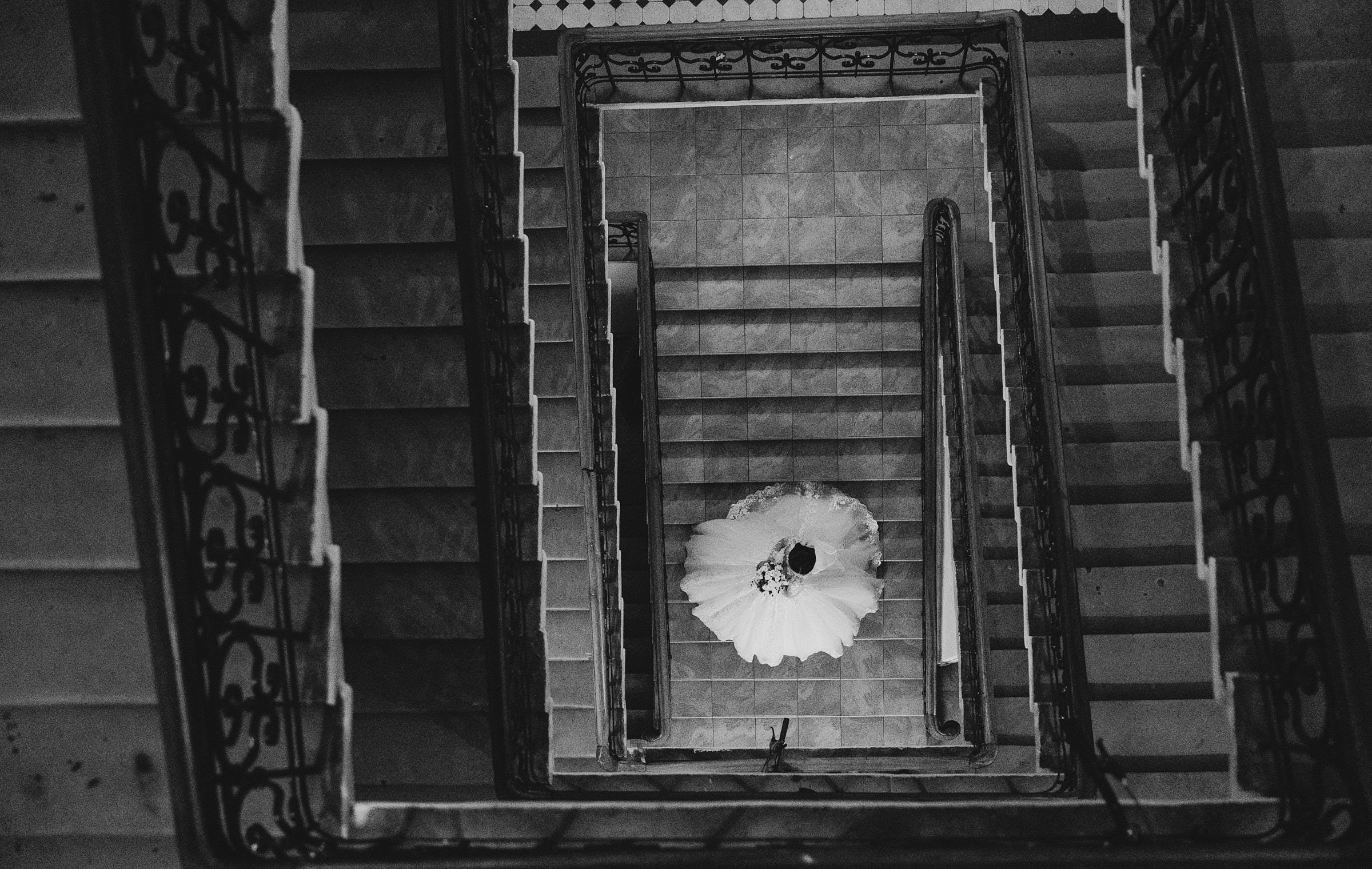 Николай Алена. Свадебный фотограф и видеограф Дмитрий Горяченков