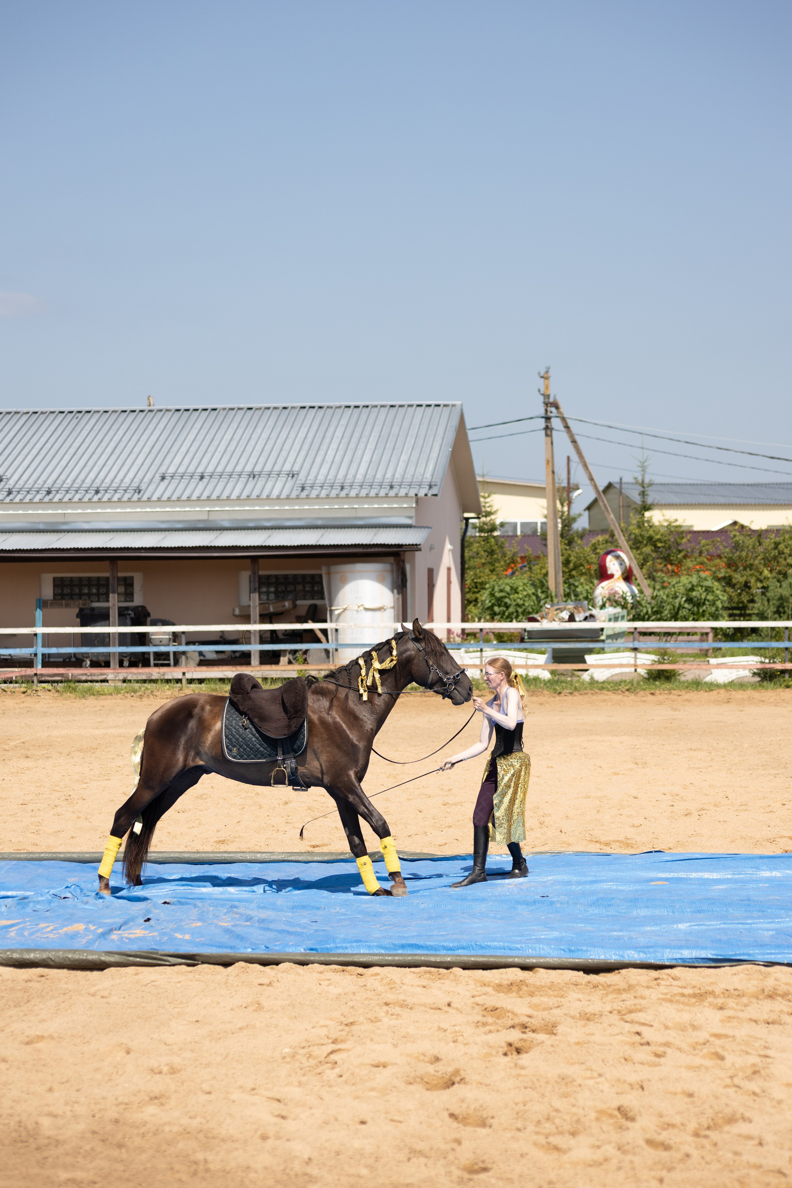 Конюшня. Фотограф в Москве и Истре