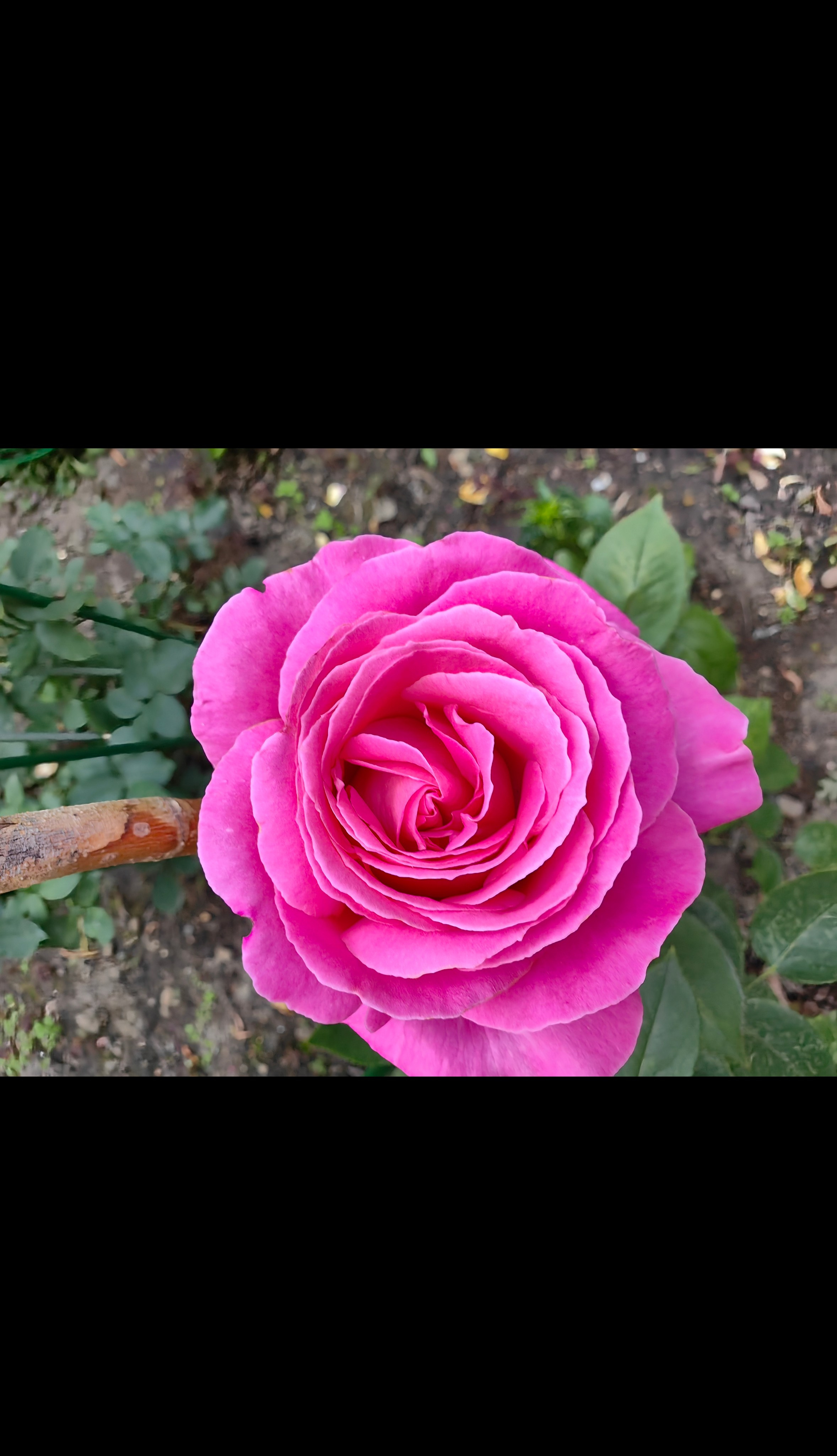 Ретушь фото. Фото/Ретушь/Обучение