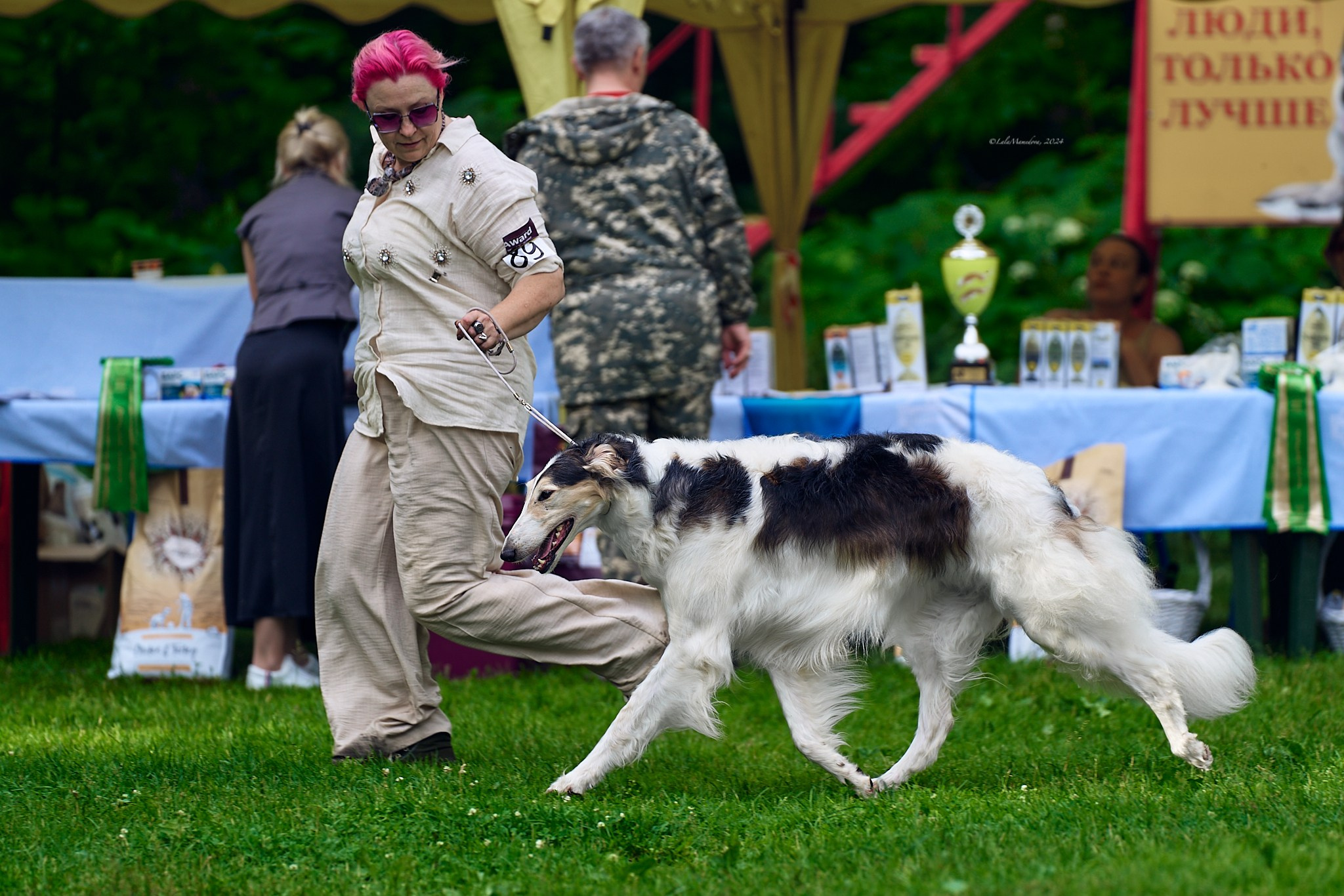 15.06.2024 | XXVIII НАЦИОНАЛЬНАЯ ВЫСТАВКА | РУССКАЯ ПСОВАЯ БОРЗАЯ