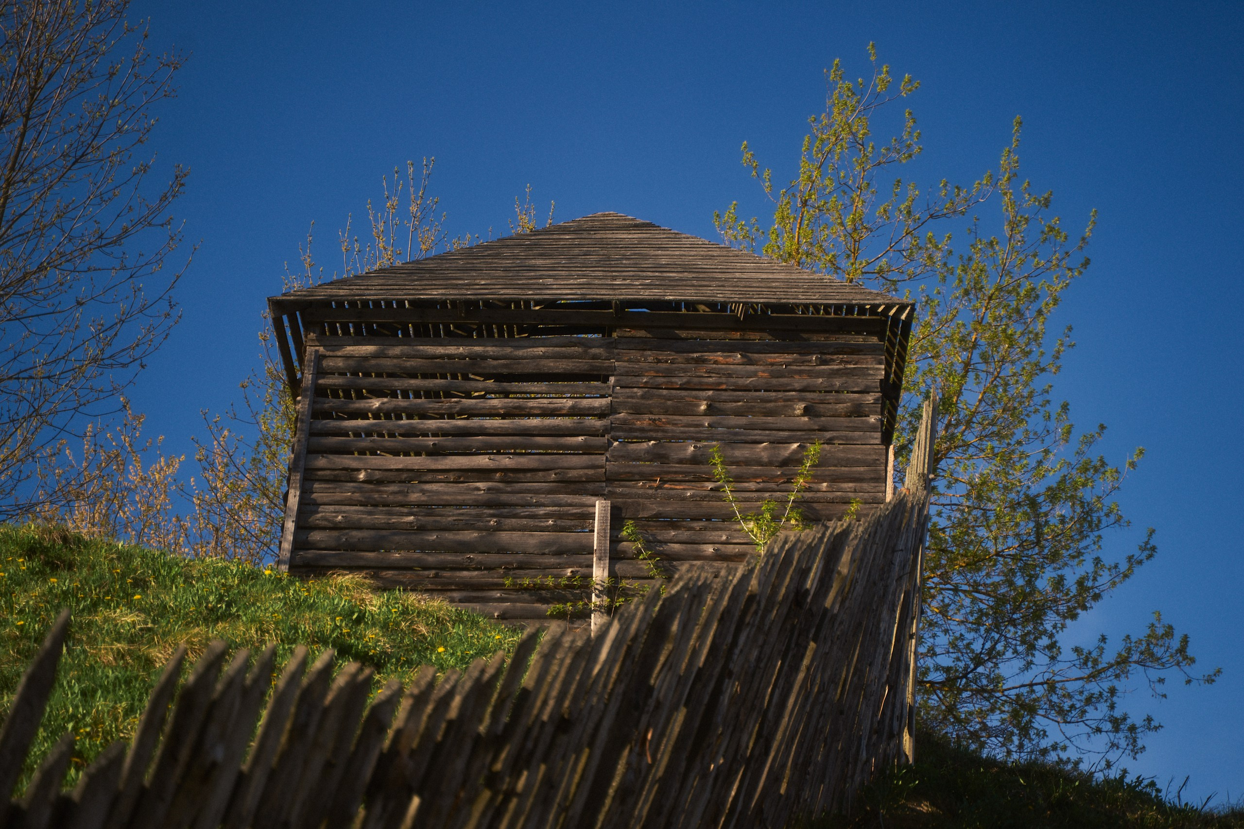 Весна в Торжке Апрель 2025