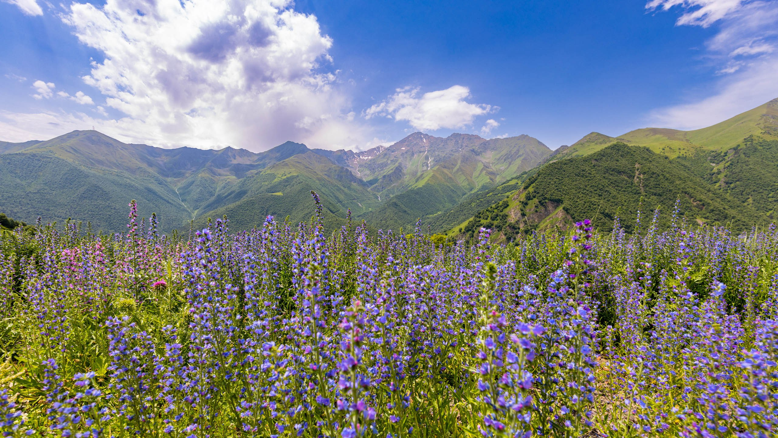 2023 07 Осетия, Ингушетия. Фотографии