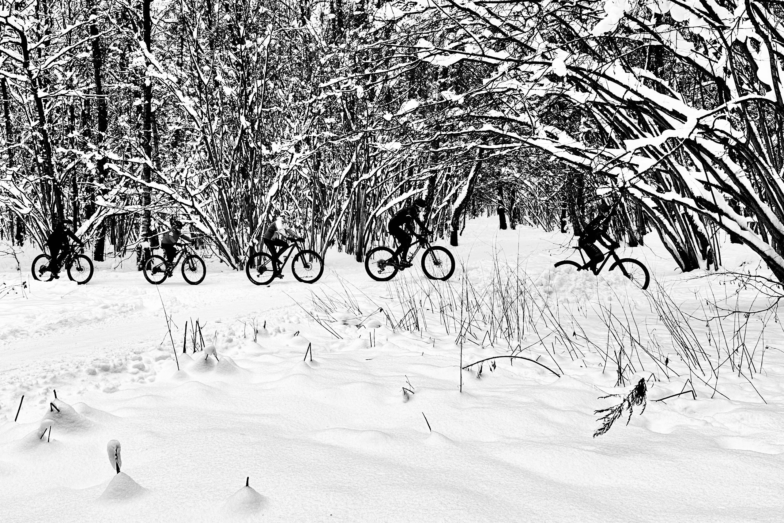 Чёрно-белая зима 25-26. Фотосессии и репортаж — Фотограф в Москве — Рина Серёгина