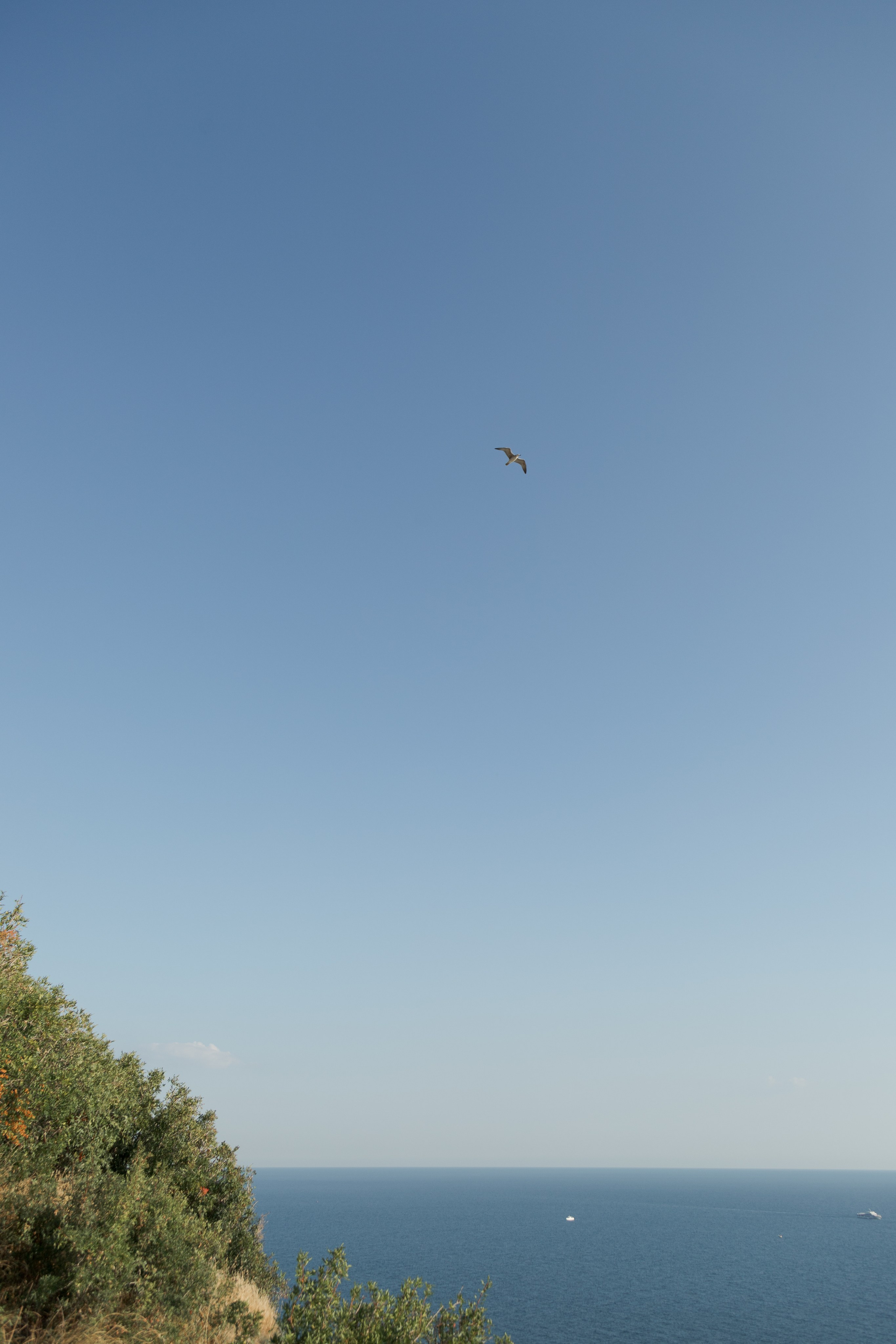 Анастасия и Роман / повторение клятв