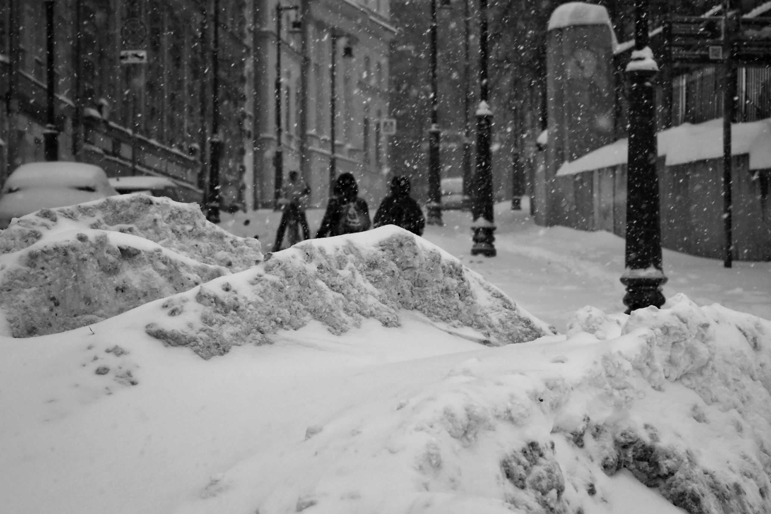 Серия «Подснежники». ANNA PAVLIKOVSKAYA ЧЕРНО-БЕЛАЯ ФОТОГРАФИЯ — ЭТО Я