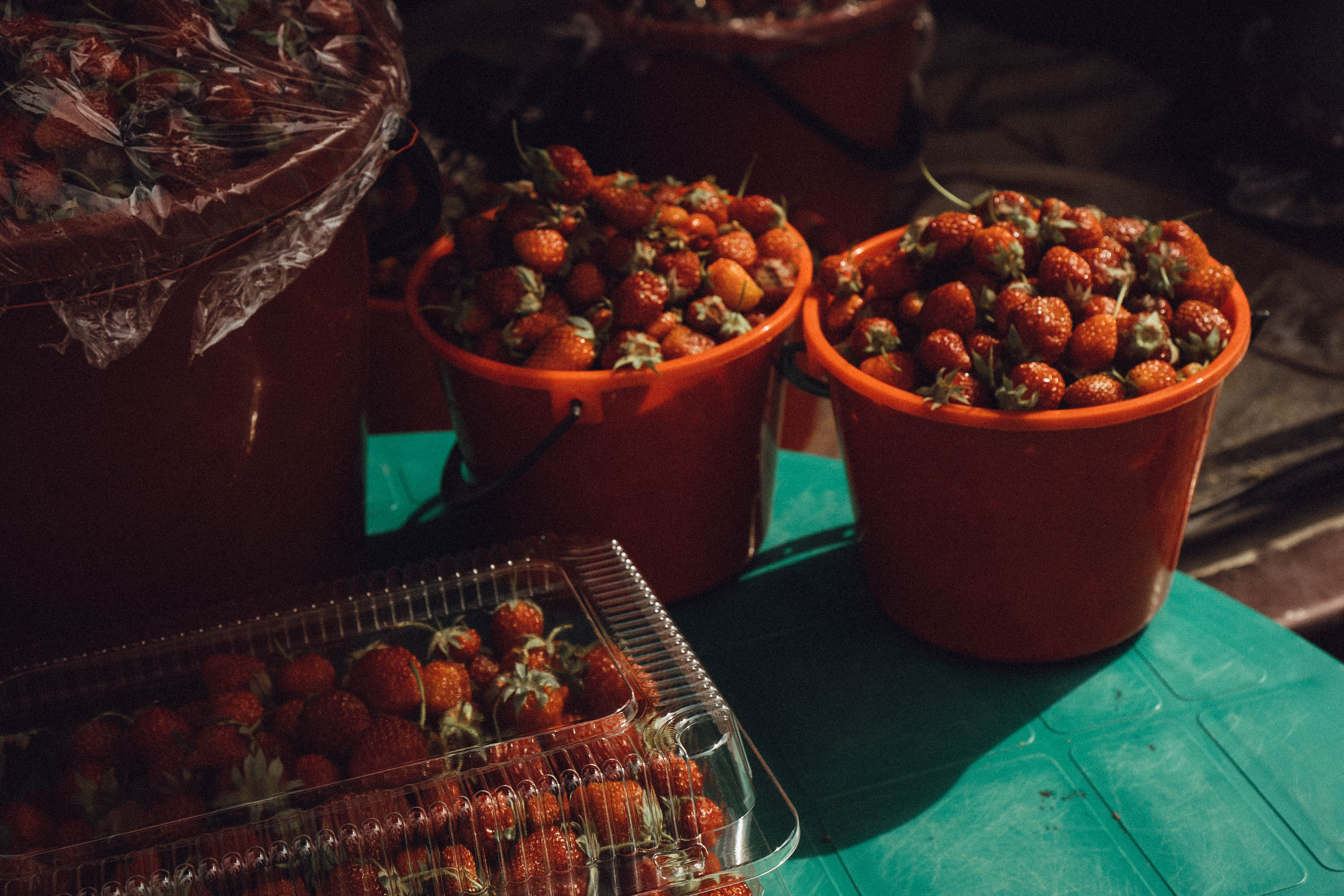 Кавказ. Профессиональный фотограф, Санкт-Петербург — Виктория Богомолова