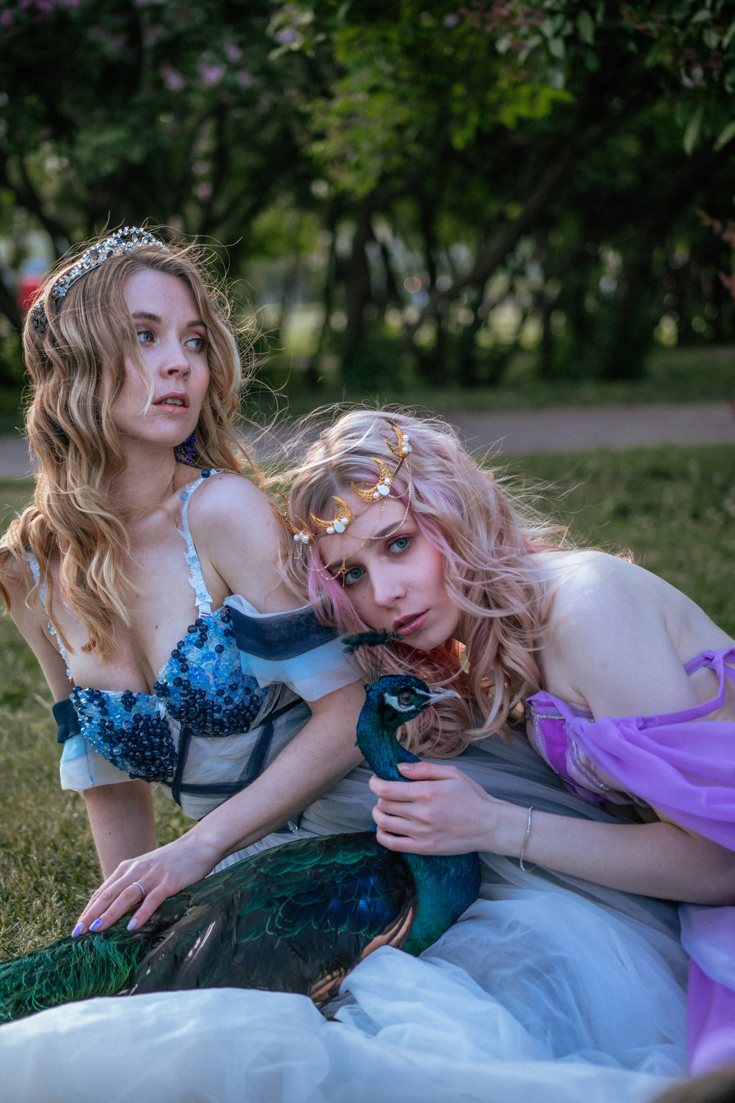 Павлин. Elena Sova — семейный и женский фотограф в Санкт-Петербурге