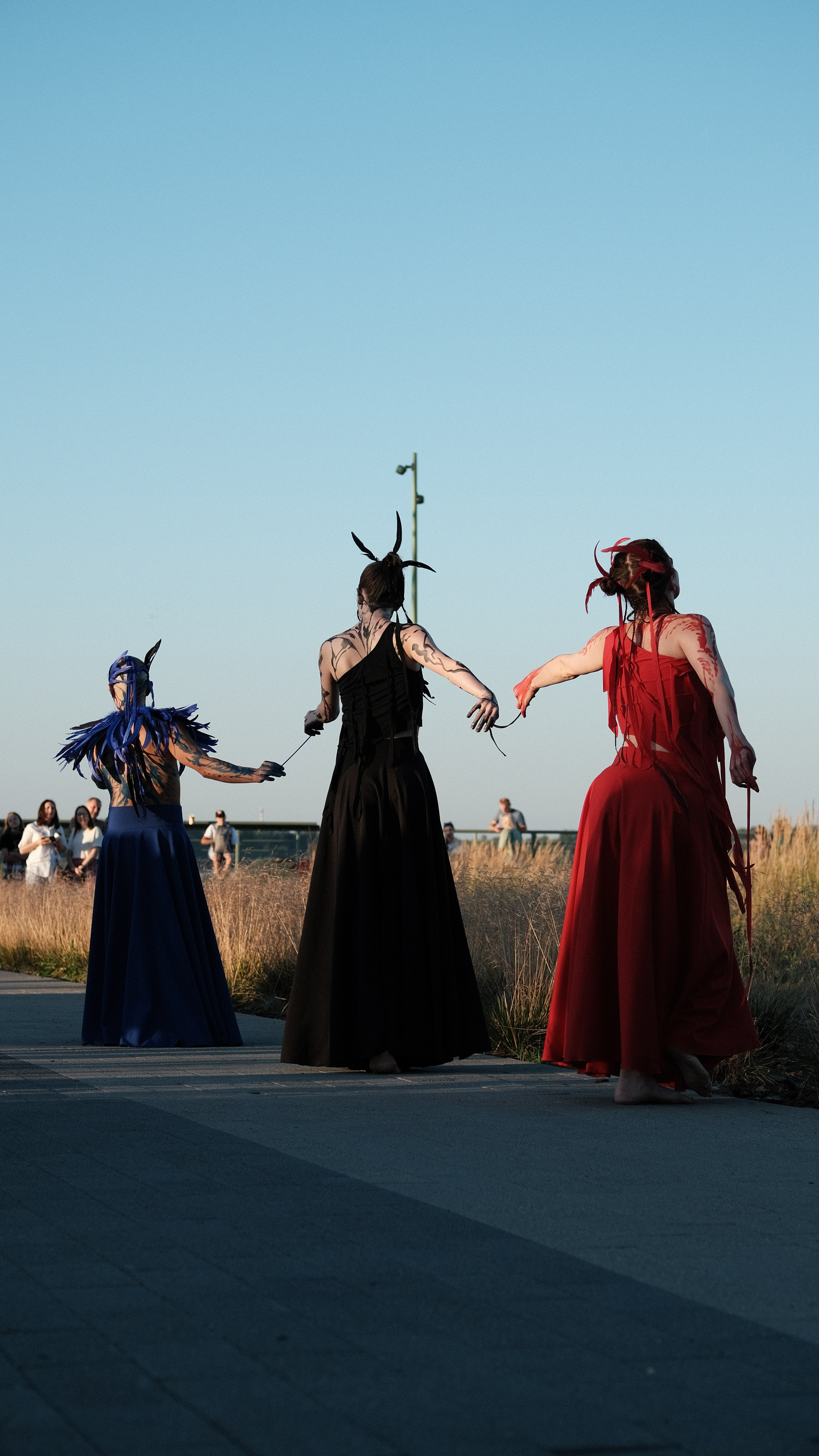 Перформанс ПТИЦЫ | СТРЕЛКА. LIYALEE PHOTO