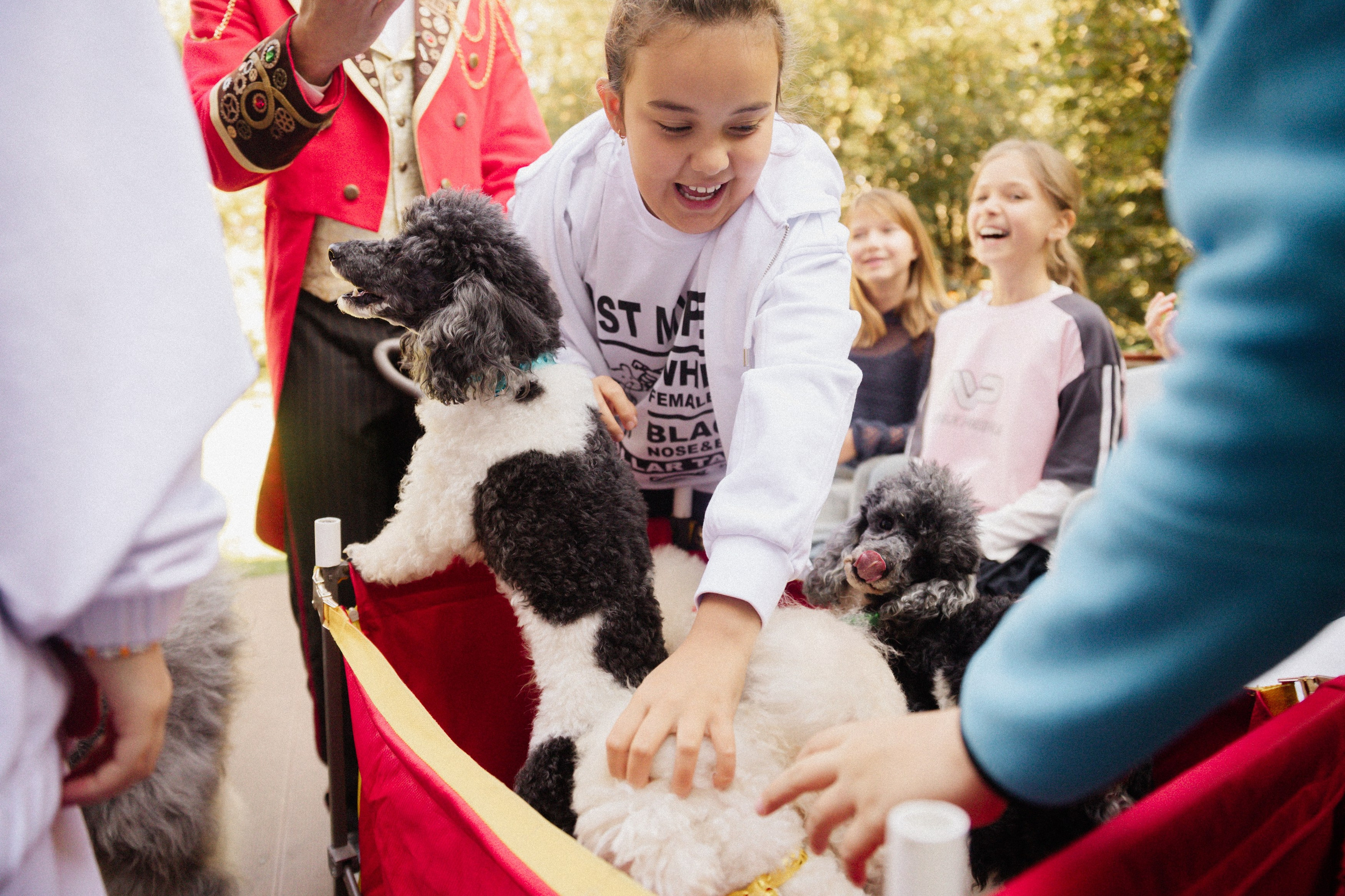 День Рождения Стефы. Татьяна Фомичева. Репортажный и светский фотограф в Москве