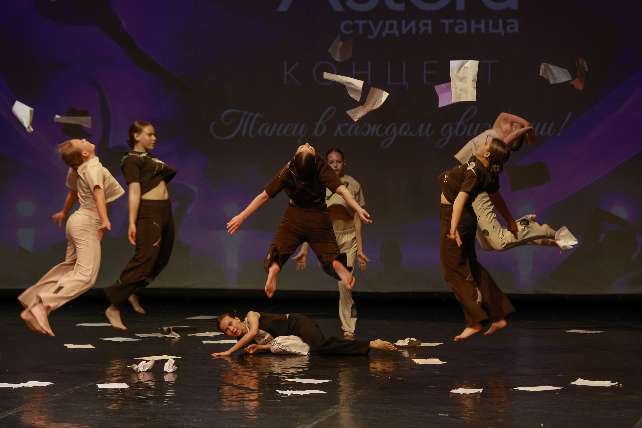 Отчётник Астера. Фотограф Юлия Мальцева