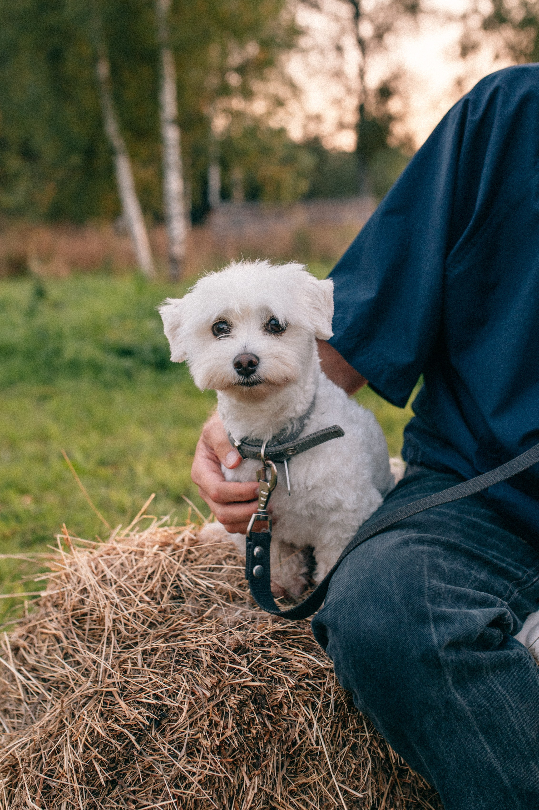Суаре на ферме. Фотограф Светлана Васильева