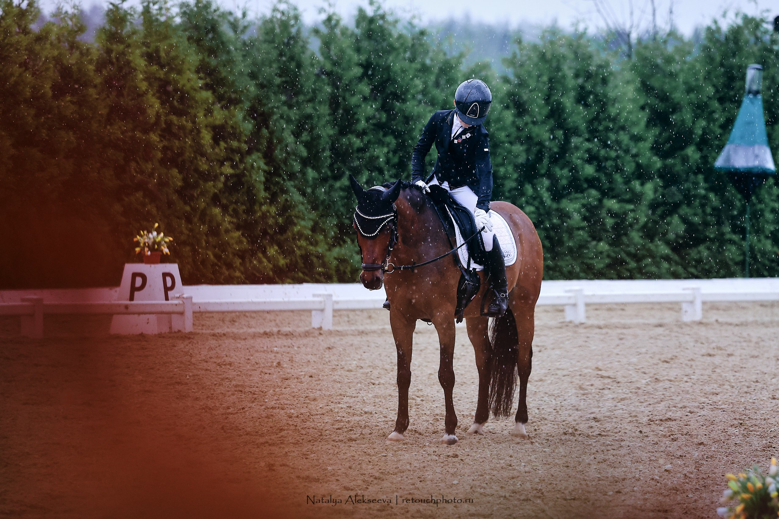 Евразийские игры по выездке, Maxima Stables. Репортажный фотограф и ретушер в Москве Наталья Алексеева