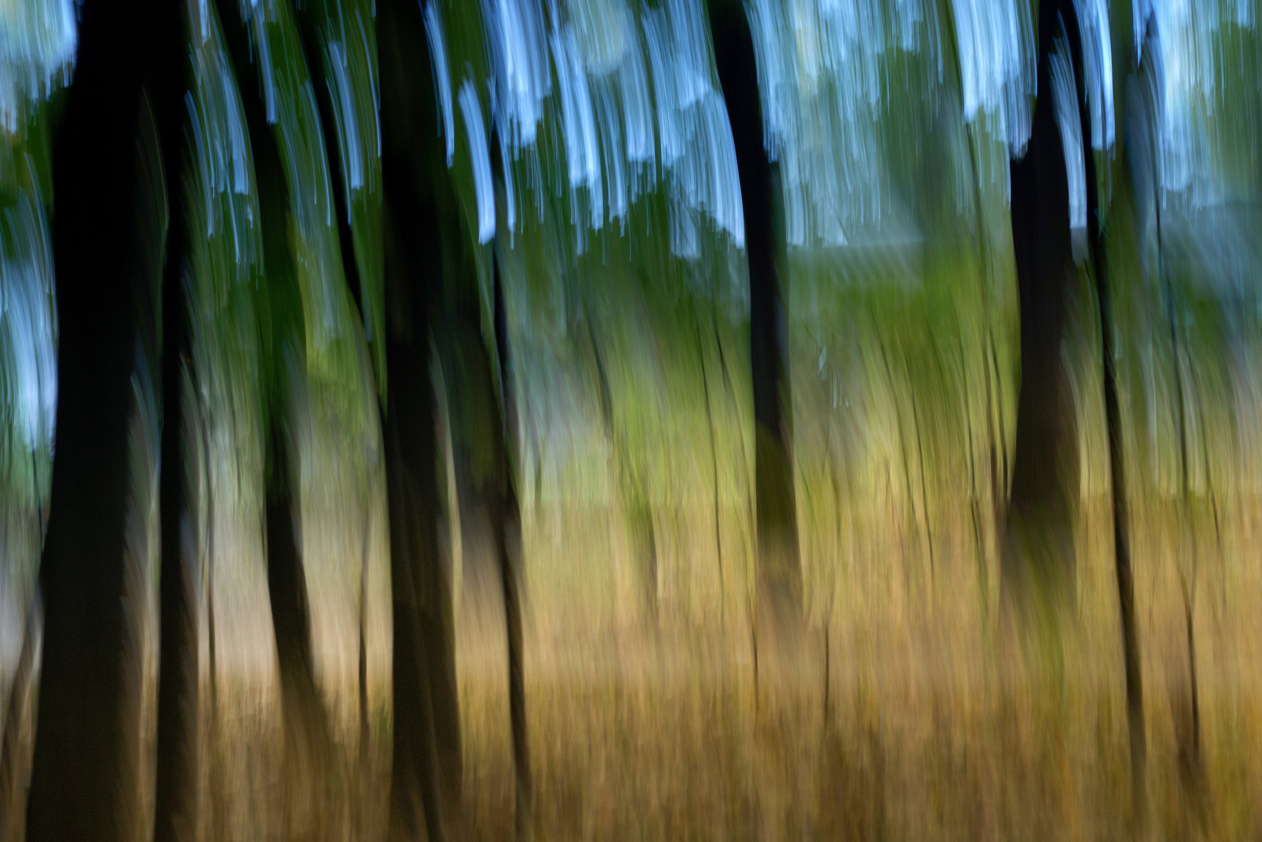 Фото. Фотограф Лагутин Анатолий