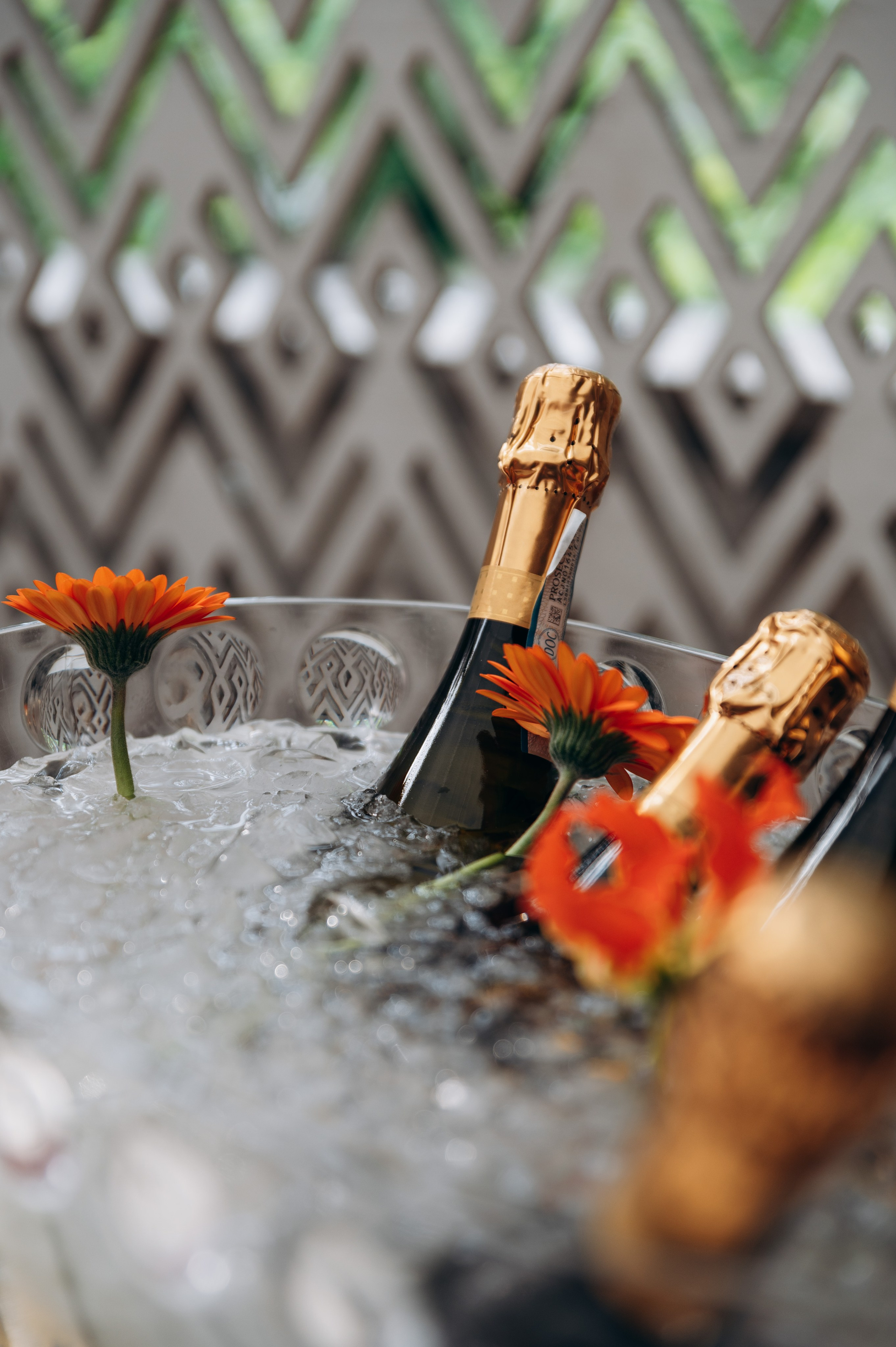 День рождения, ресторан. Фотограф в Новосибирске