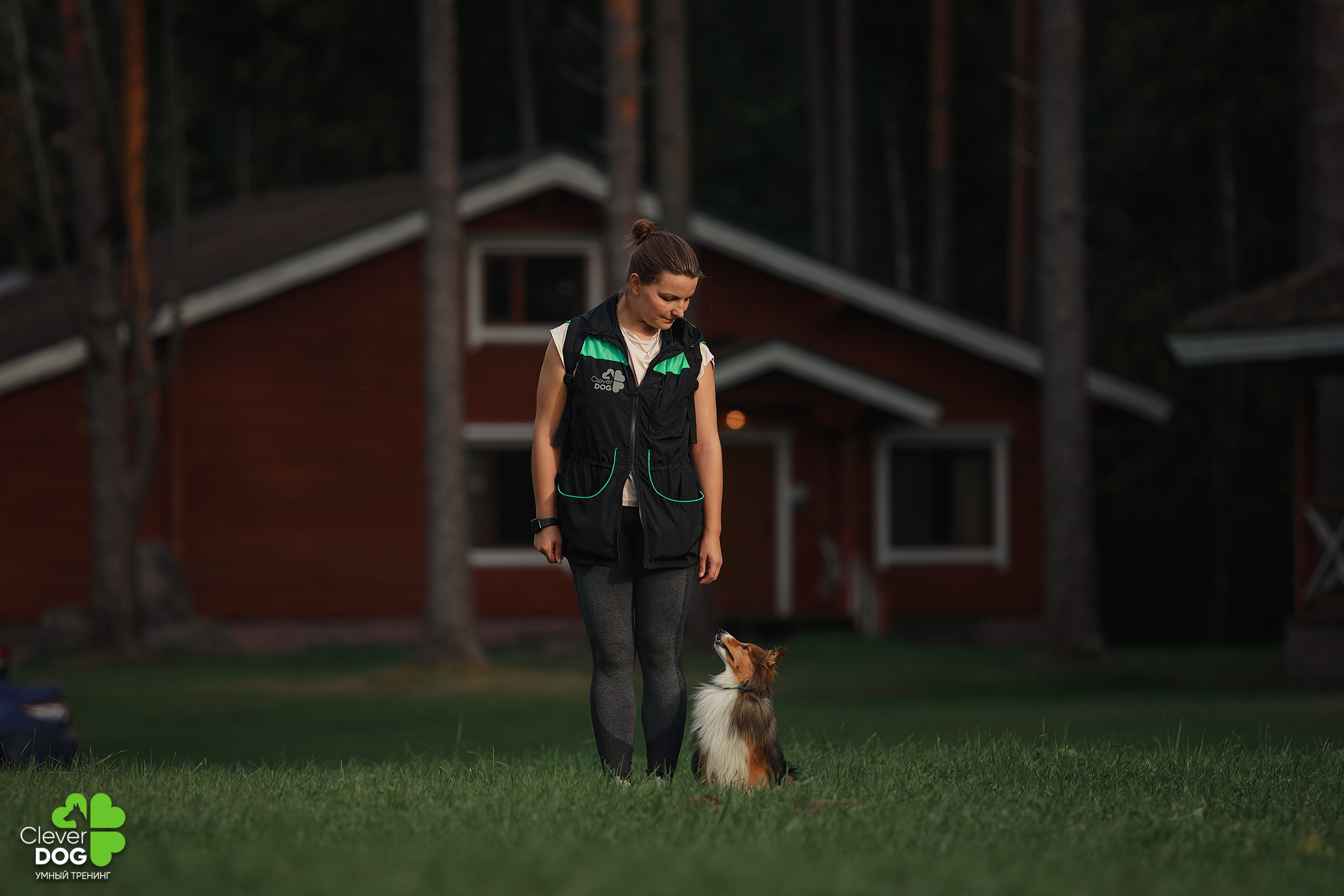 Кинологический лагерь CleverDog, 2024. Фотограф-анималист Mary Mart — Москва, Питер