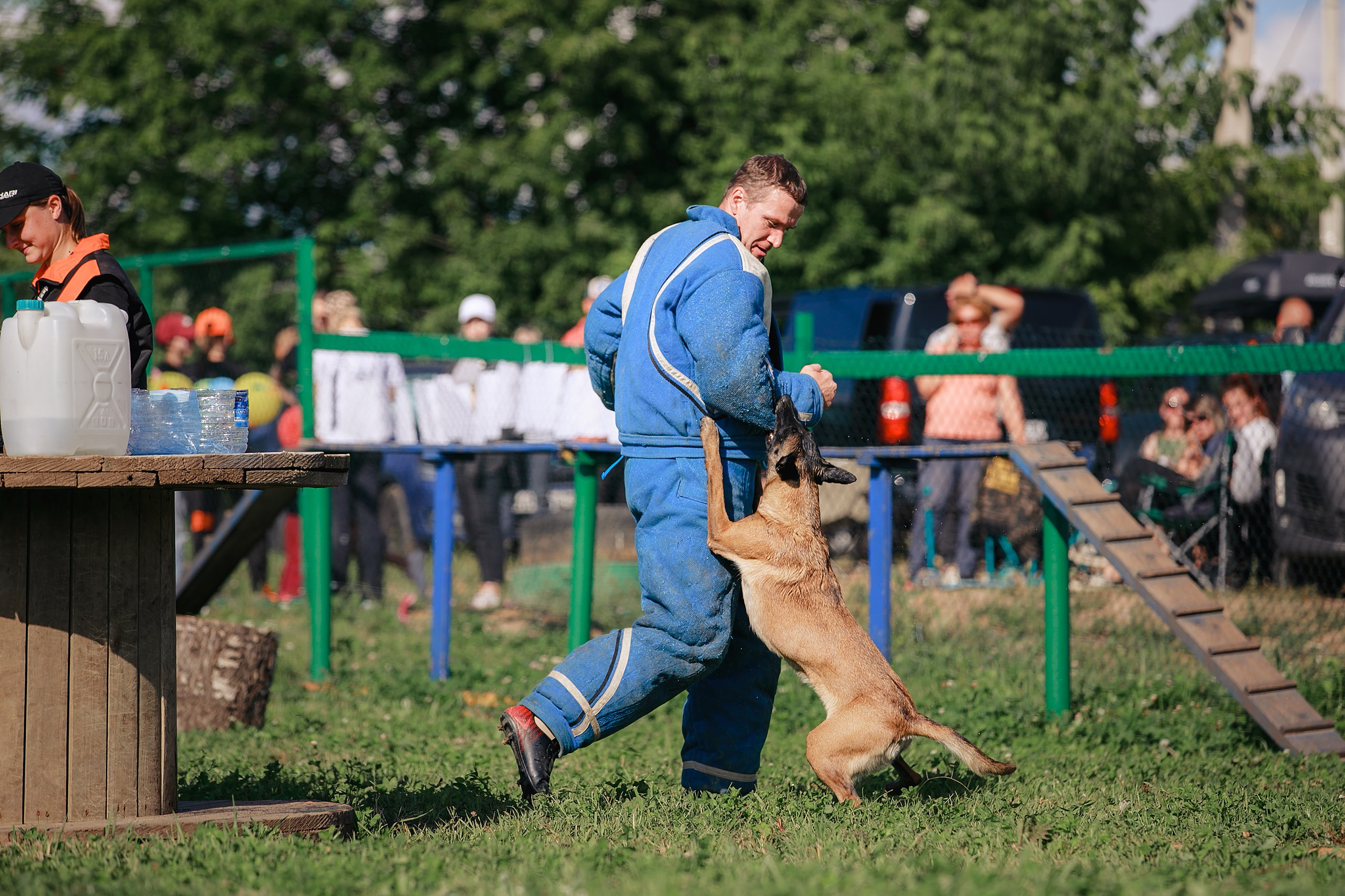 Мондьоринг М1, М2, М3, Вологда. Фотограф-анималист Mary Mart — Москва, Питер