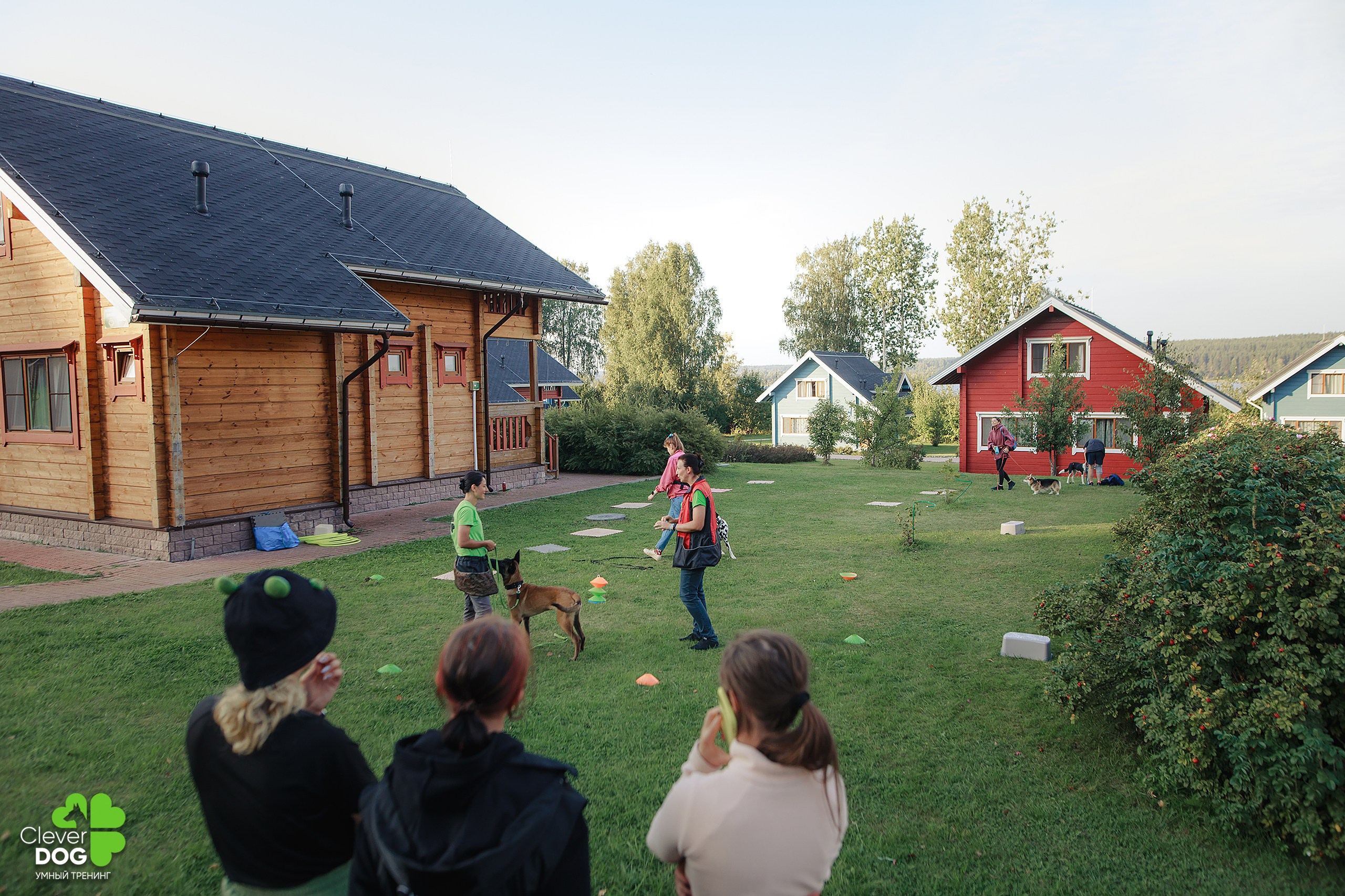 Кинологический лагерь CleverDog, 2024. Фотограф-анималист Mary Mart — Москва, Питер